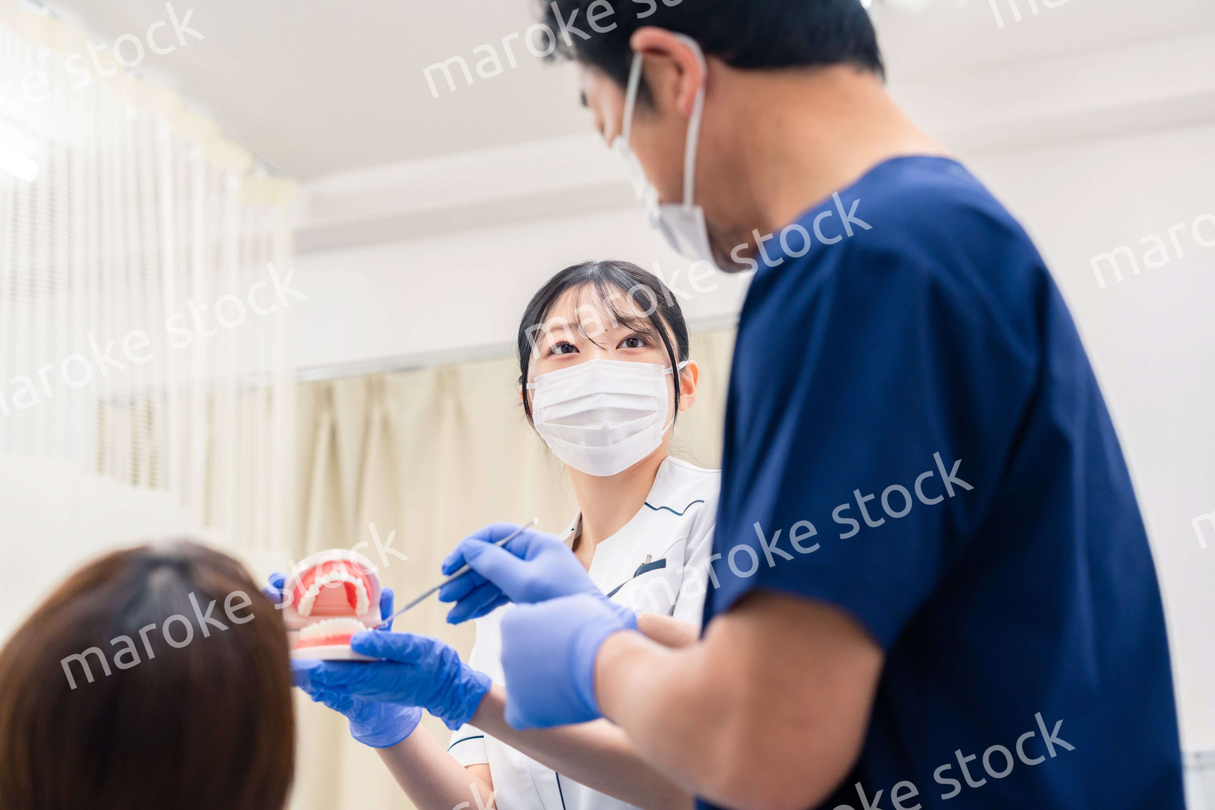 歯の模型を使って歯科治療の説明をする歯医者