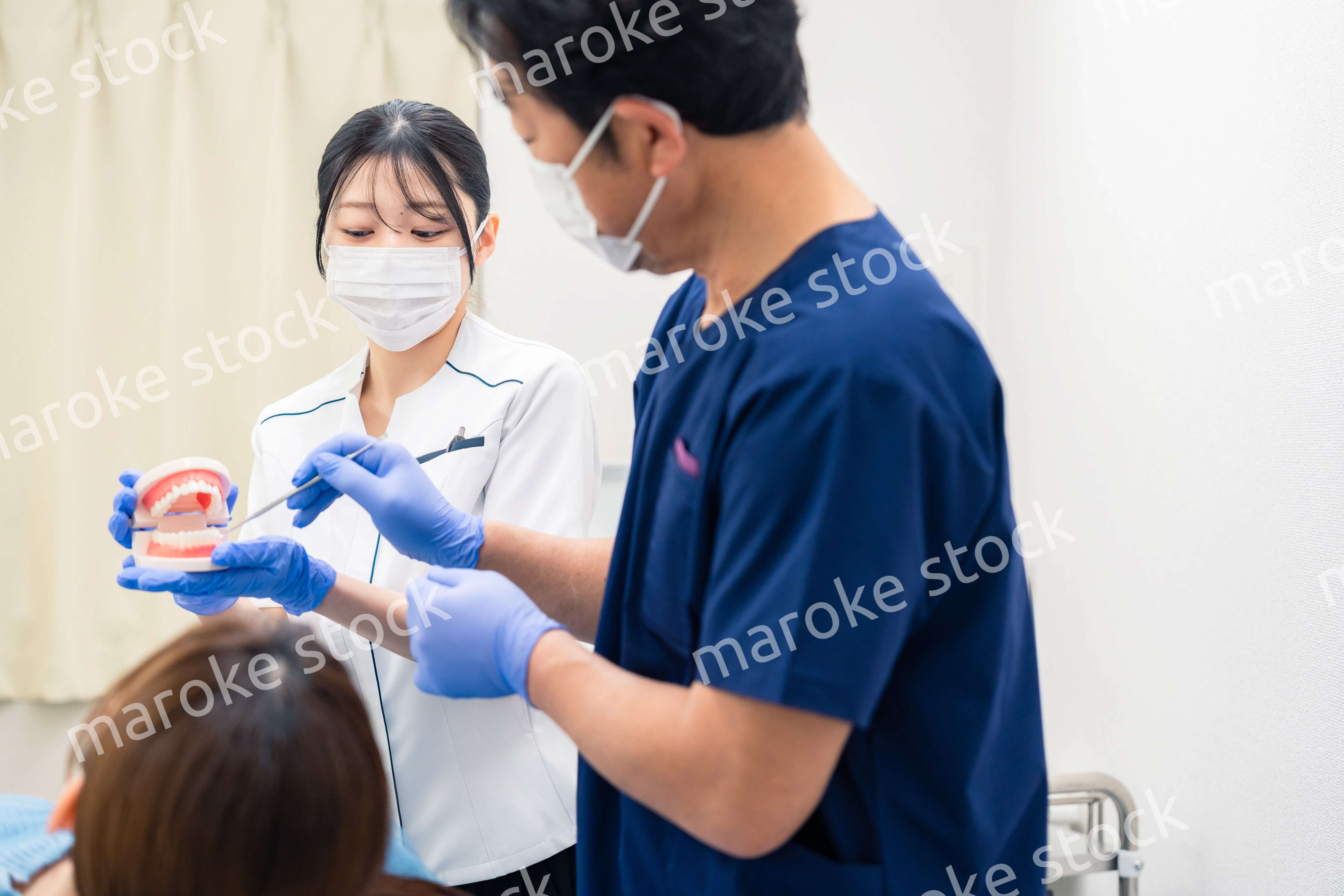 歯の模型を使って歯科治療の説明をする歯医者