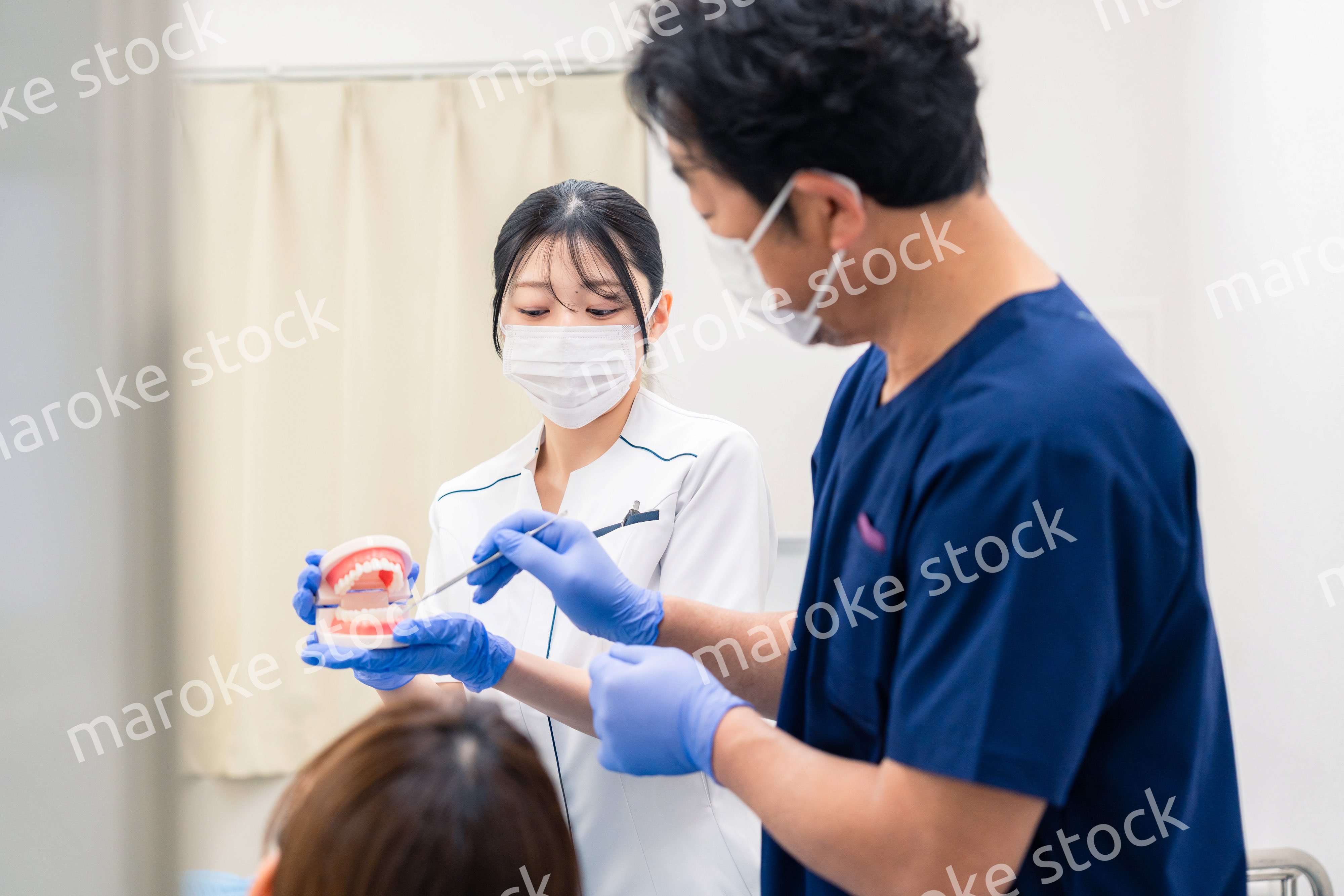 歯の模型を使って歯科治療の説明をする歯医者