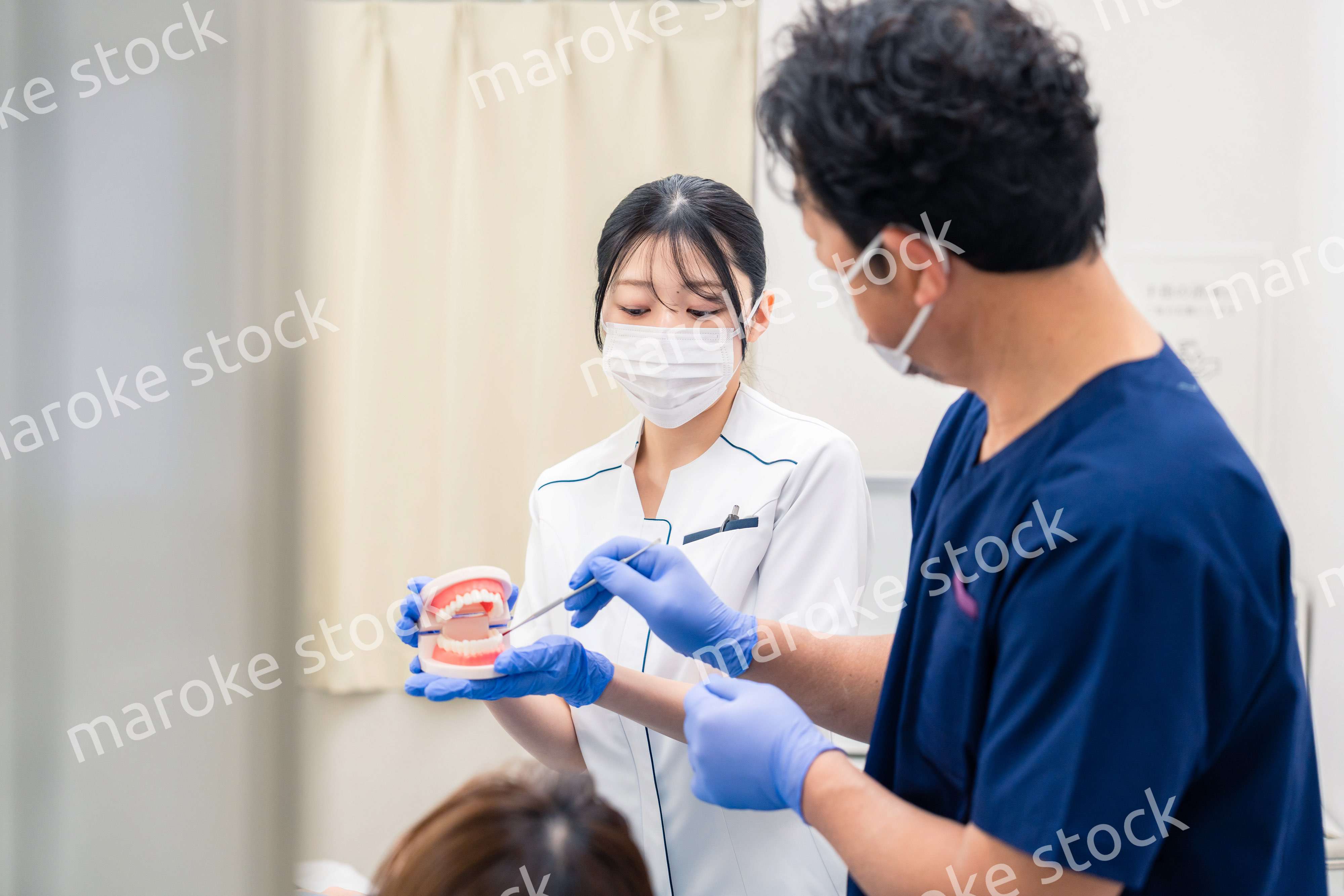 歯の模型を使って歯科治療の説明をする歯医者