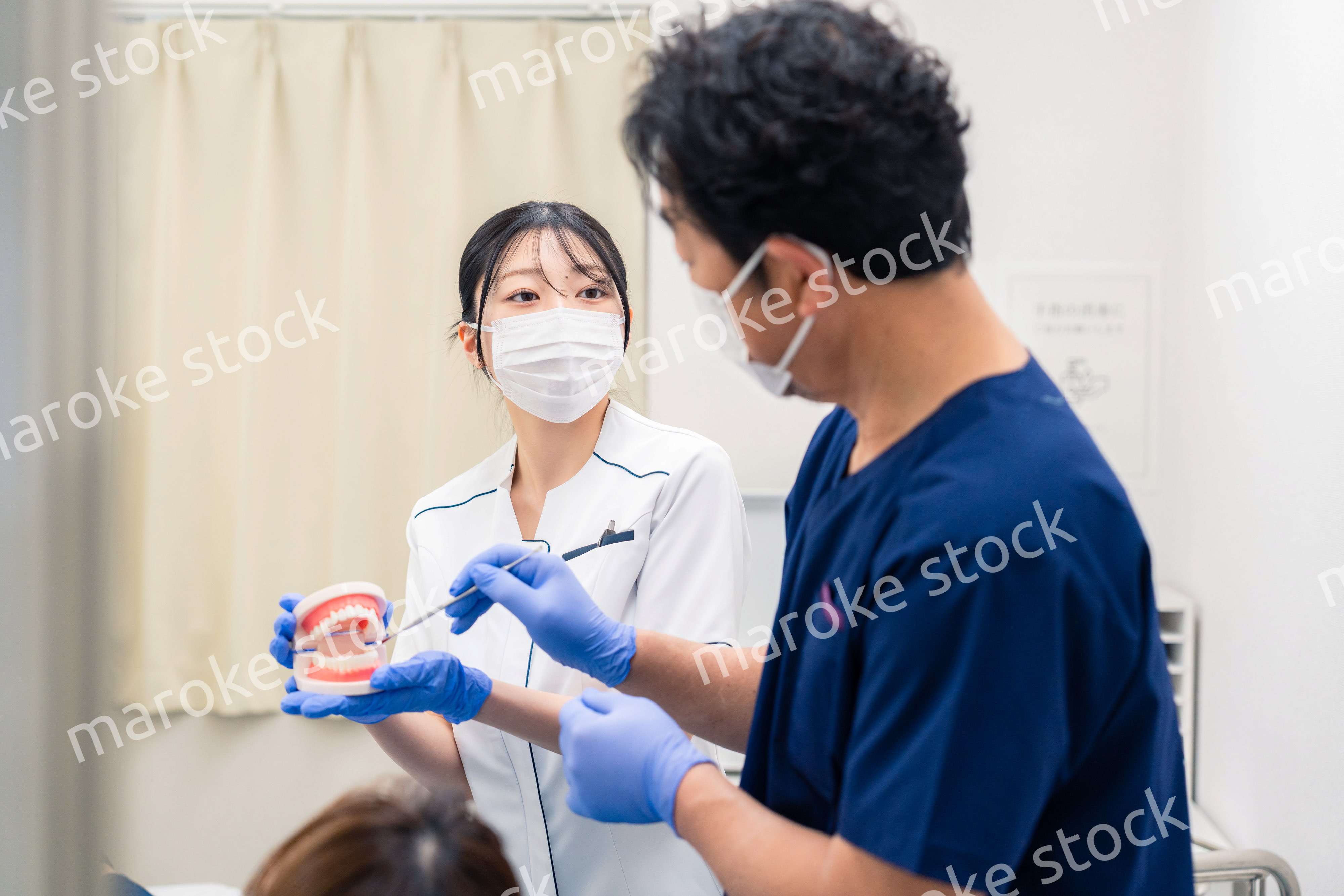 歯の模型を使って歯科治療の説明をする歯医者