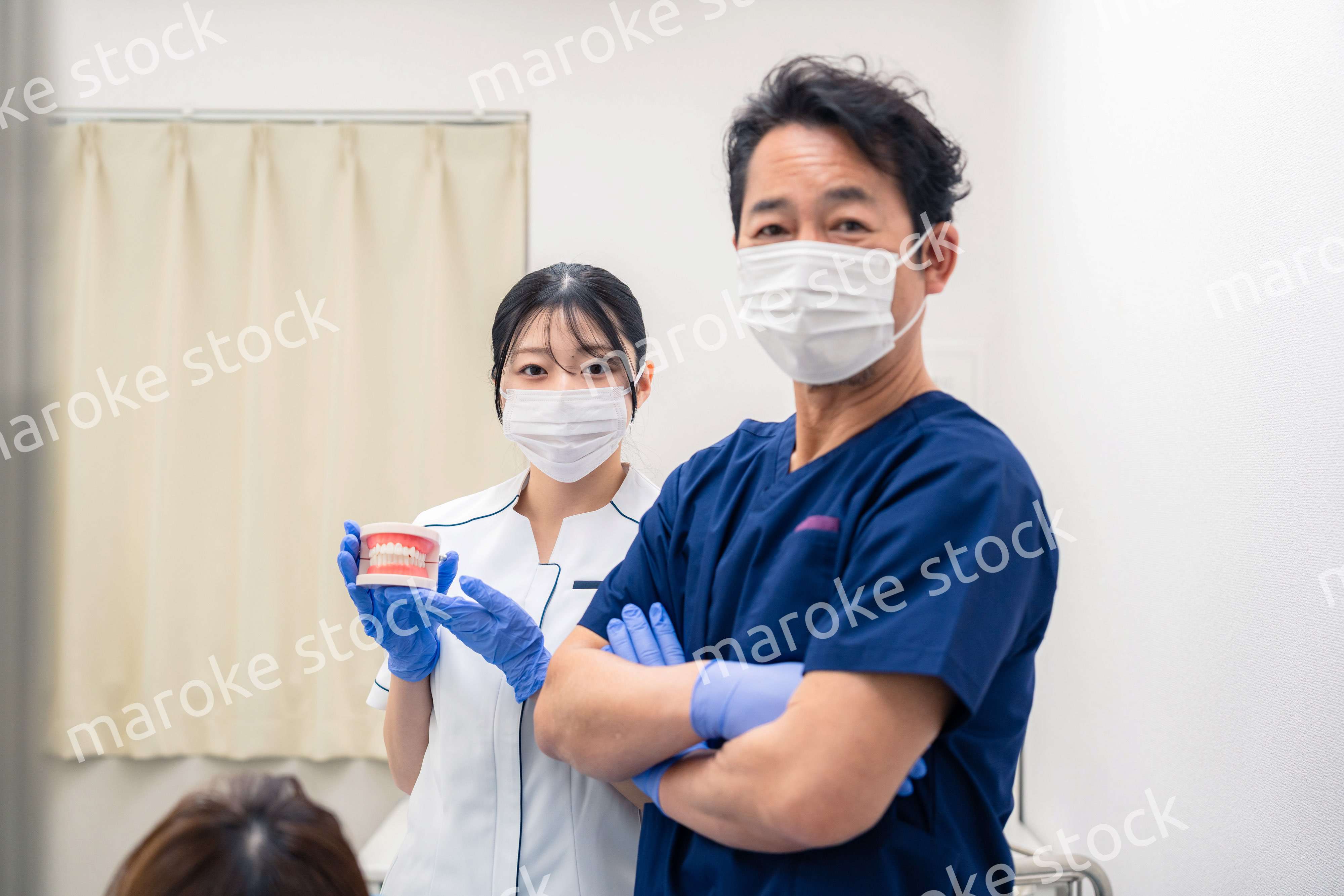歯の模型を使って歯科治療の説明をする歯医者