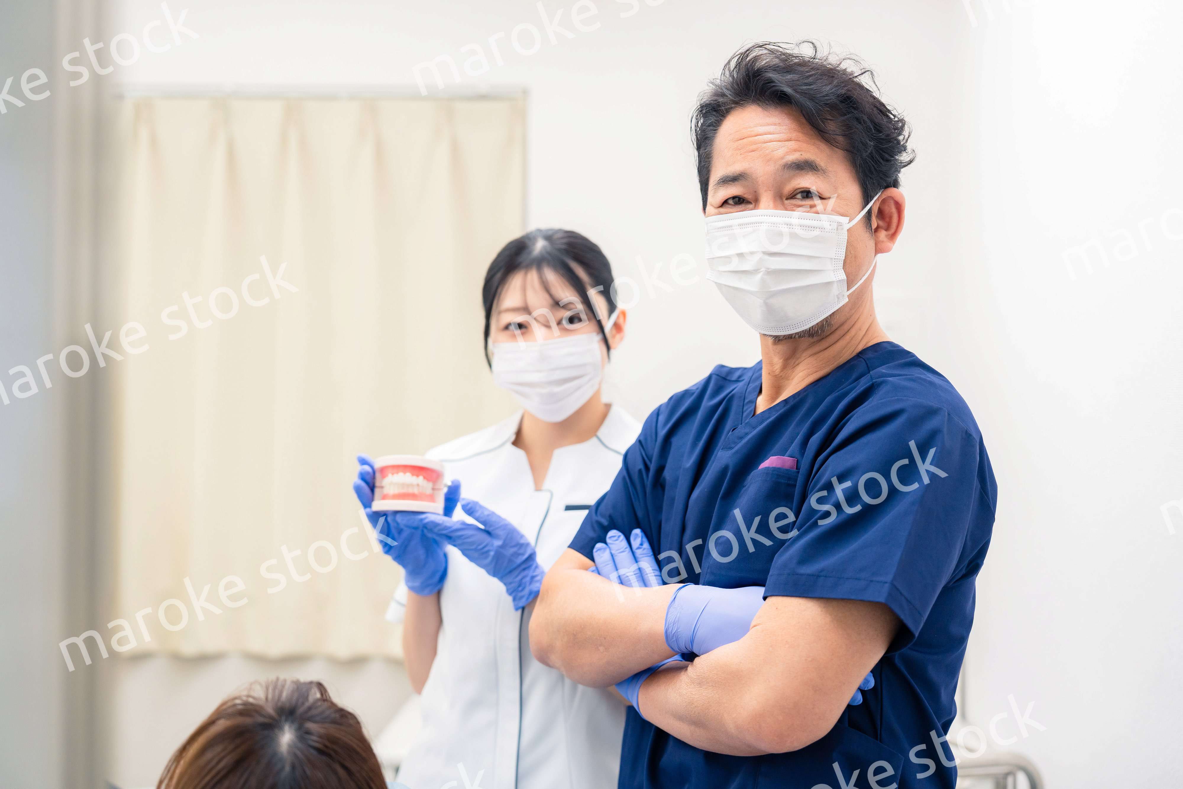 歯の模型を使って歯科治療の説明をする歯医者