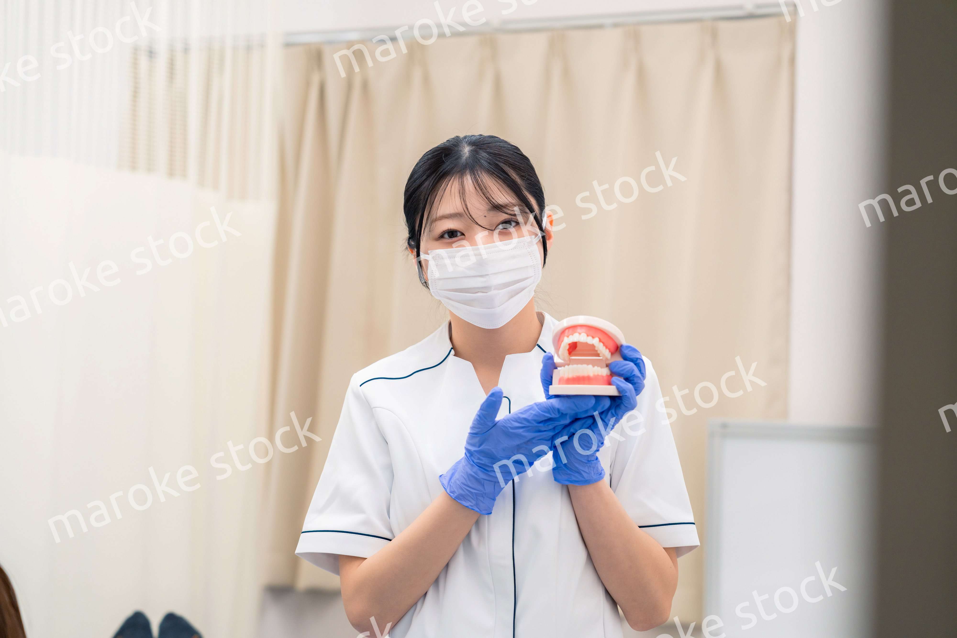 歯の模型を使って患者に説明をする歯科助手の女性