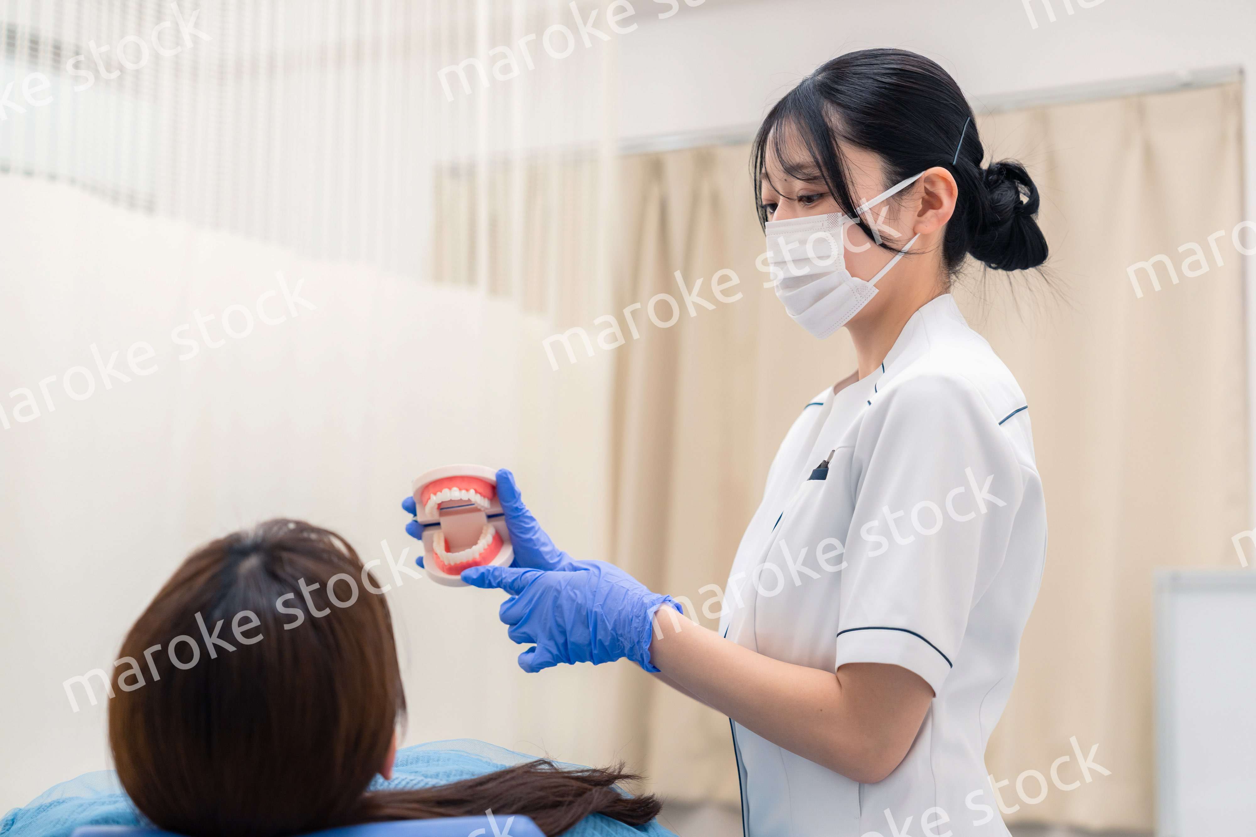 歯の模型を使って患者に説明をする歯科助手の女性