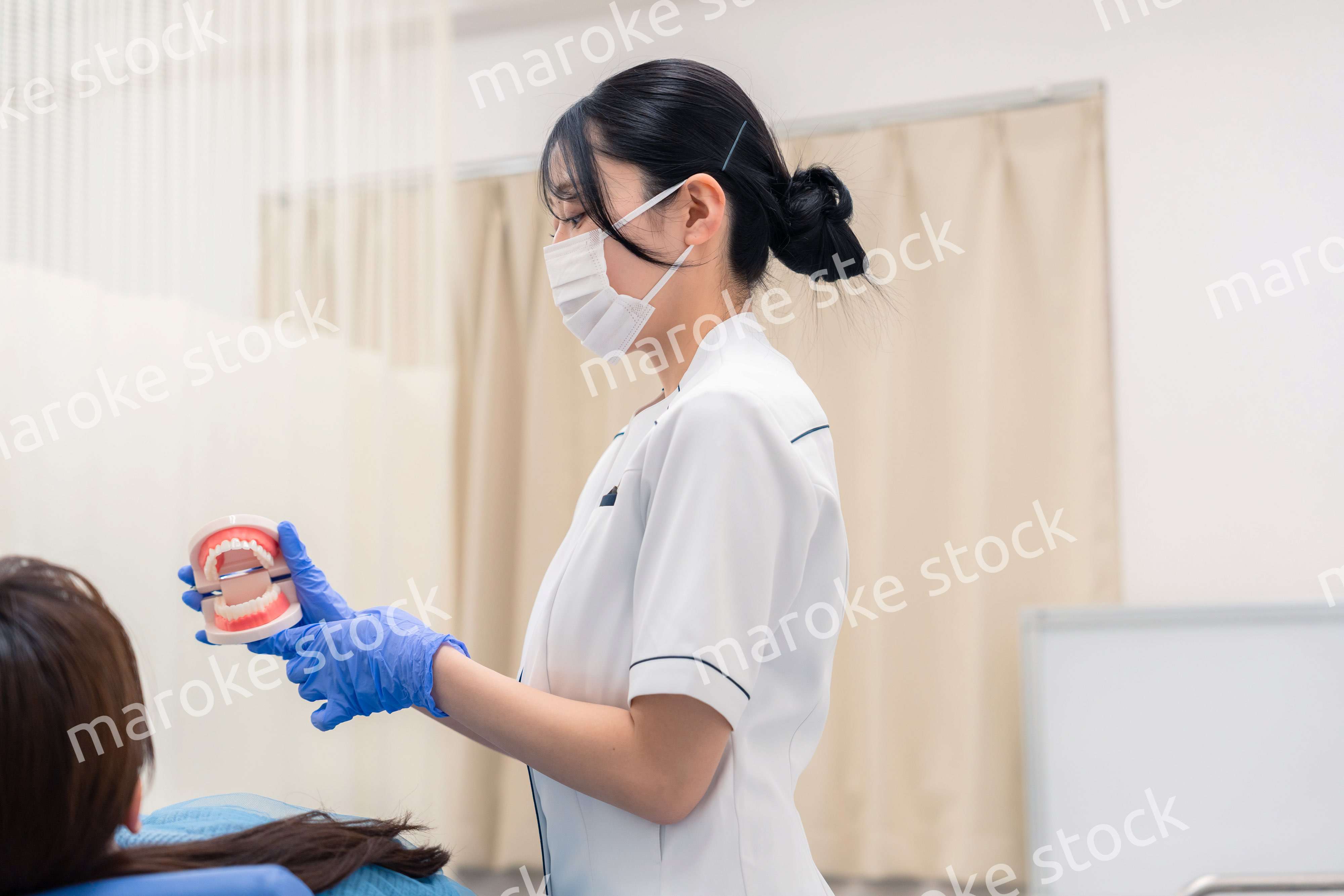 歯の模型を使って患者に説明をする歯科助手の女性