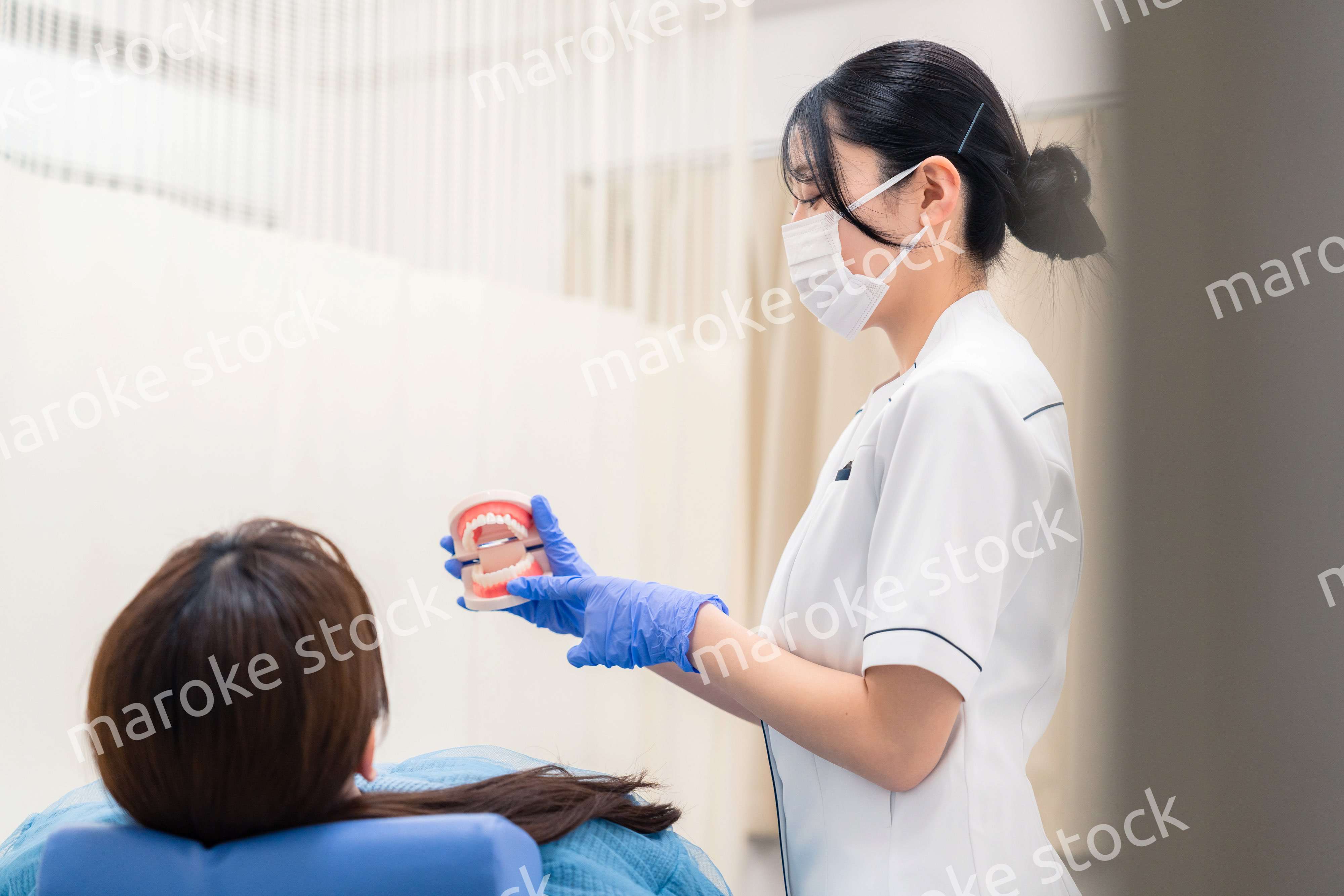 歯の模型を使って患者に説明をする歯科助手の女性