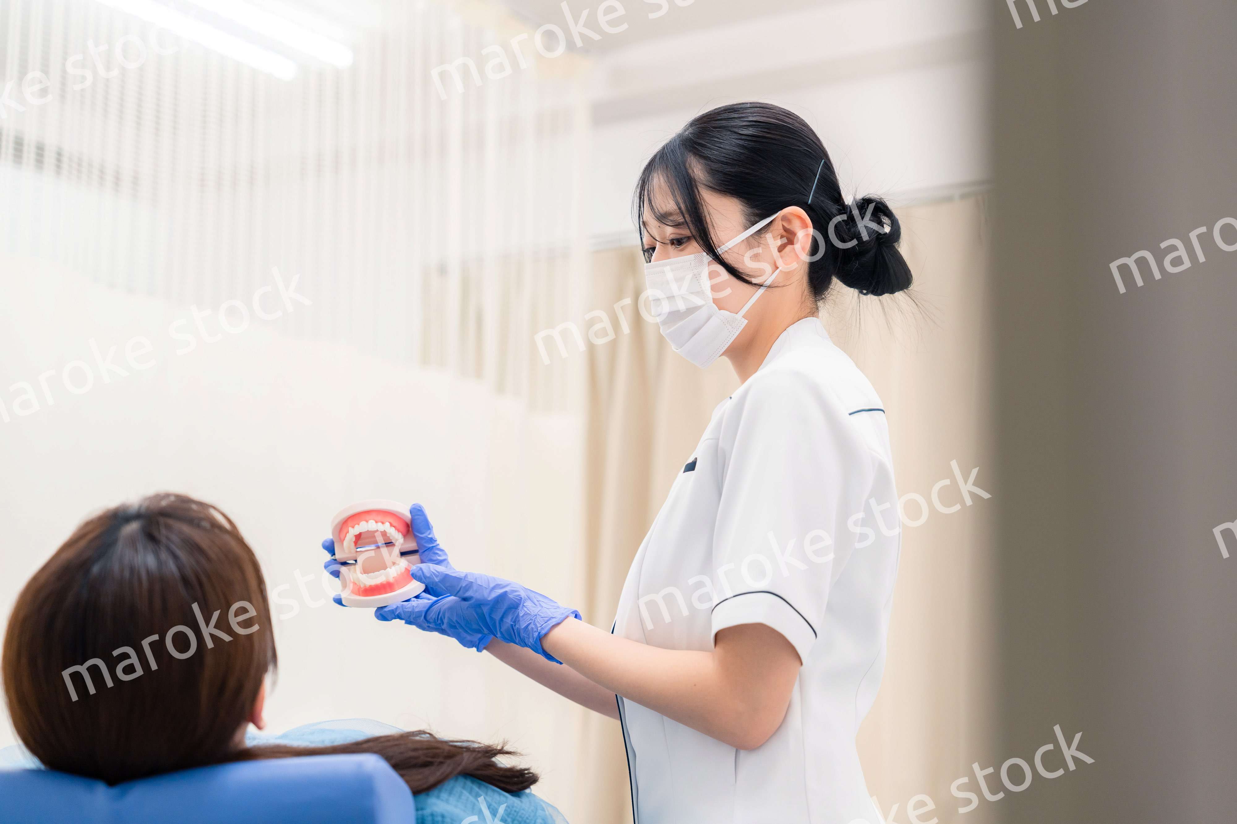 歯の模型を使って患者に説明をする歯科助手の女性