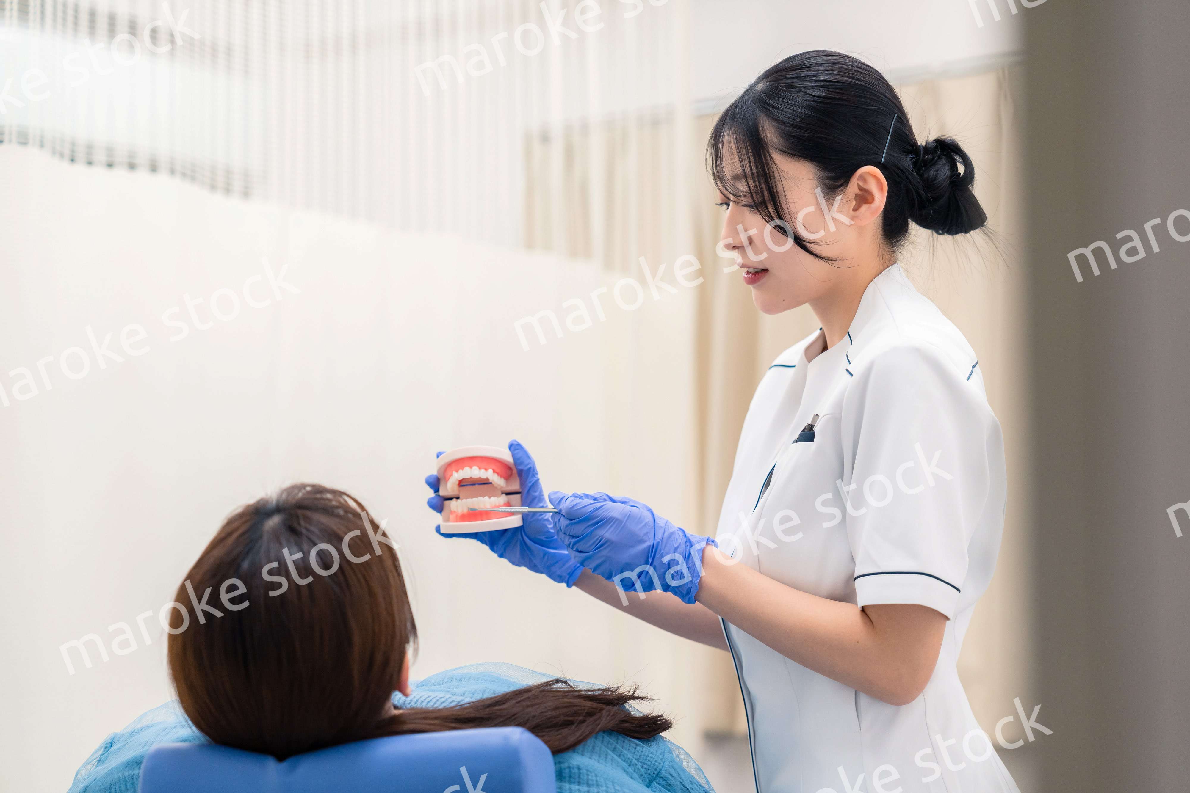 歯の模型を使って患者に説明をする歯科助手の女性