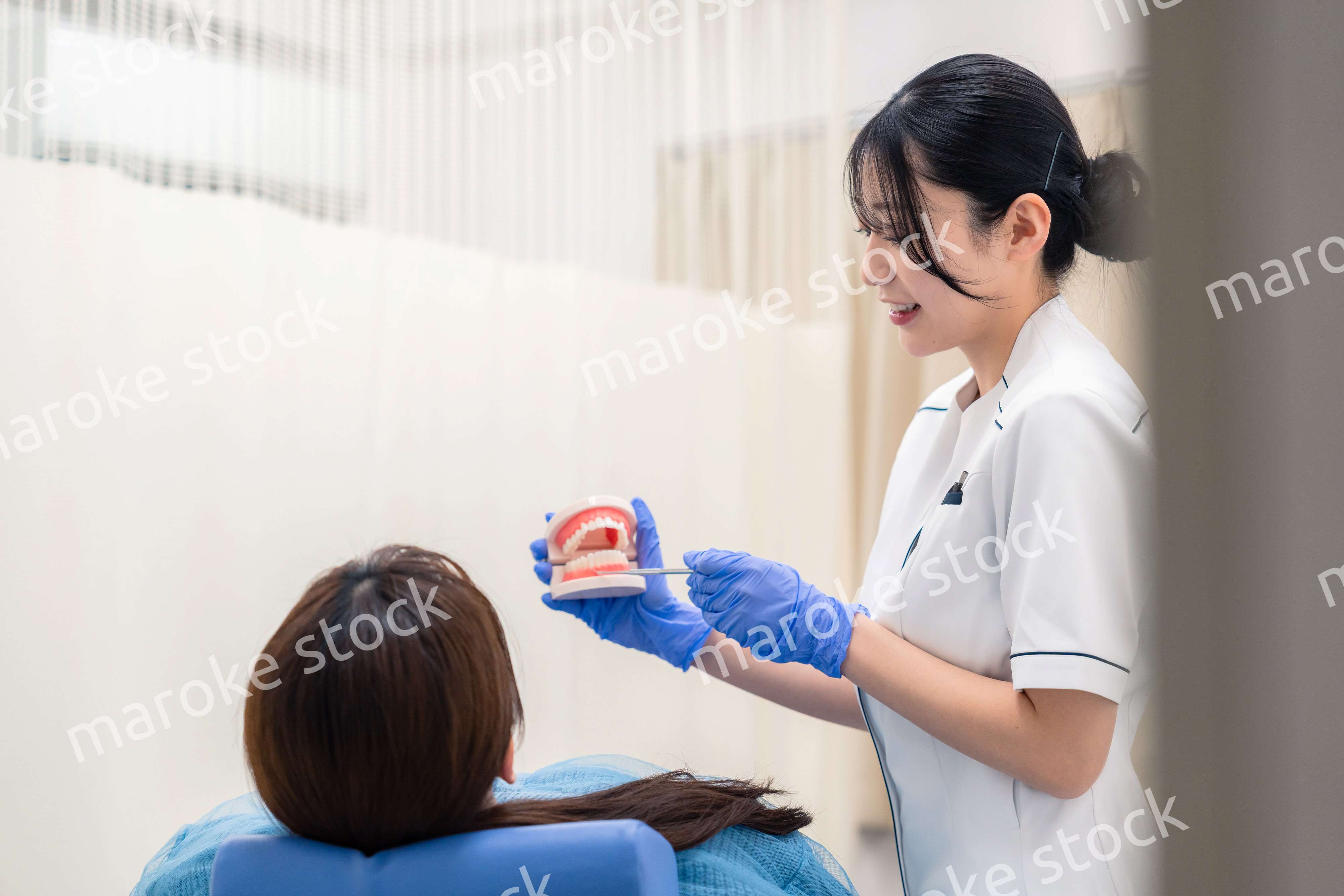歯の模型を使って患者に説明をする歯科助手の女性