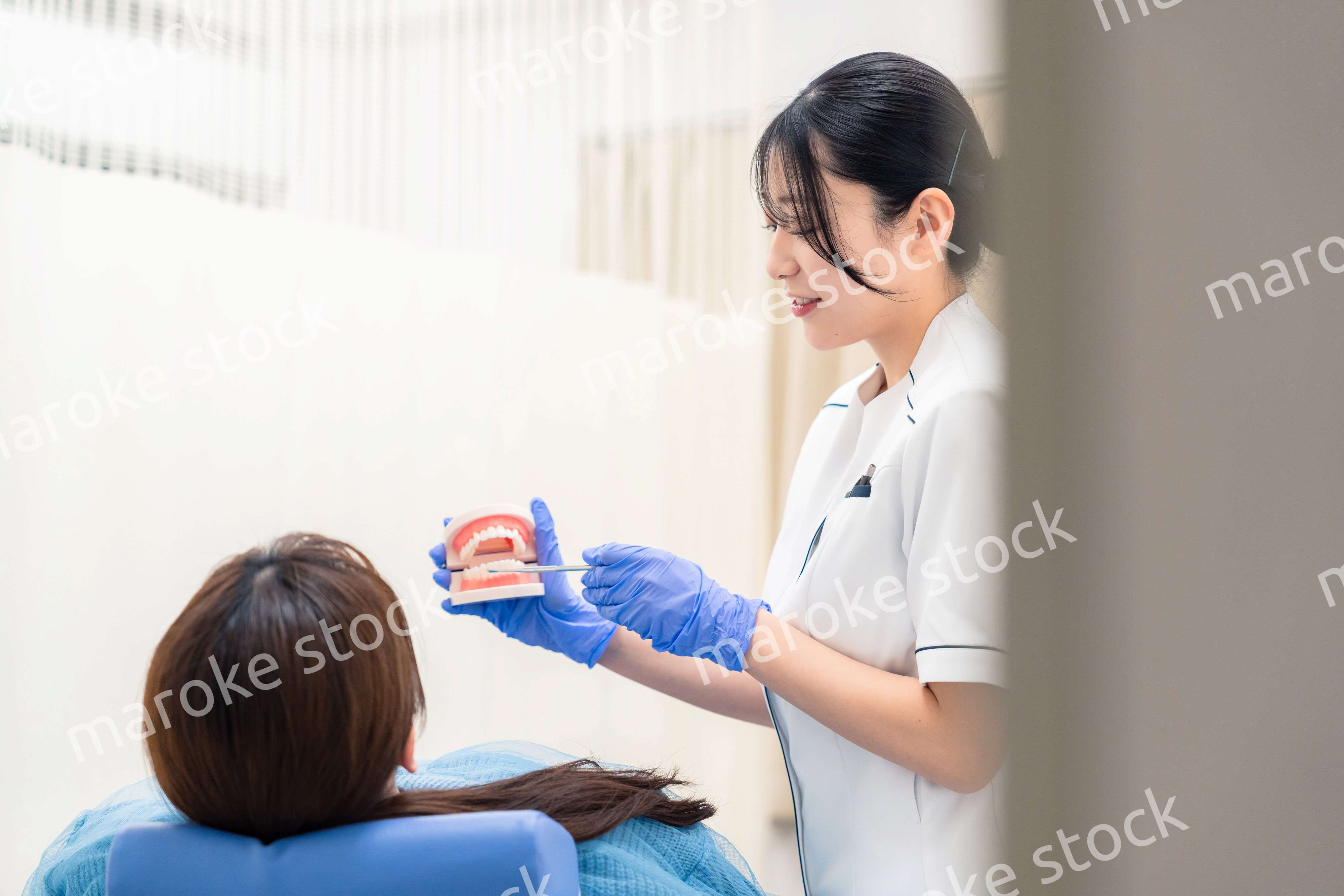 歯の模型を使って患者に説明をする歯科助手の女性
