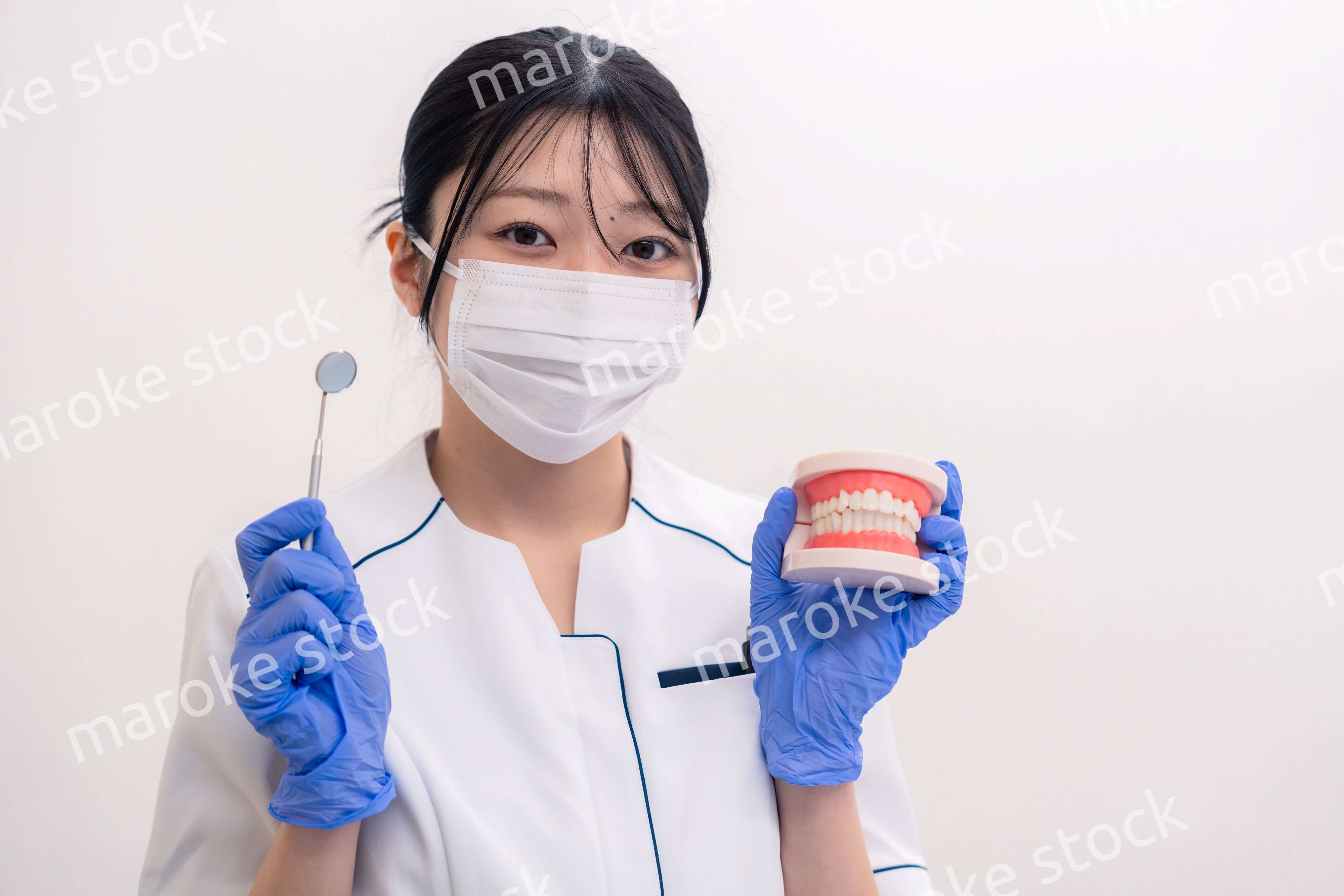 歯の模型を持つ歯科衛生士