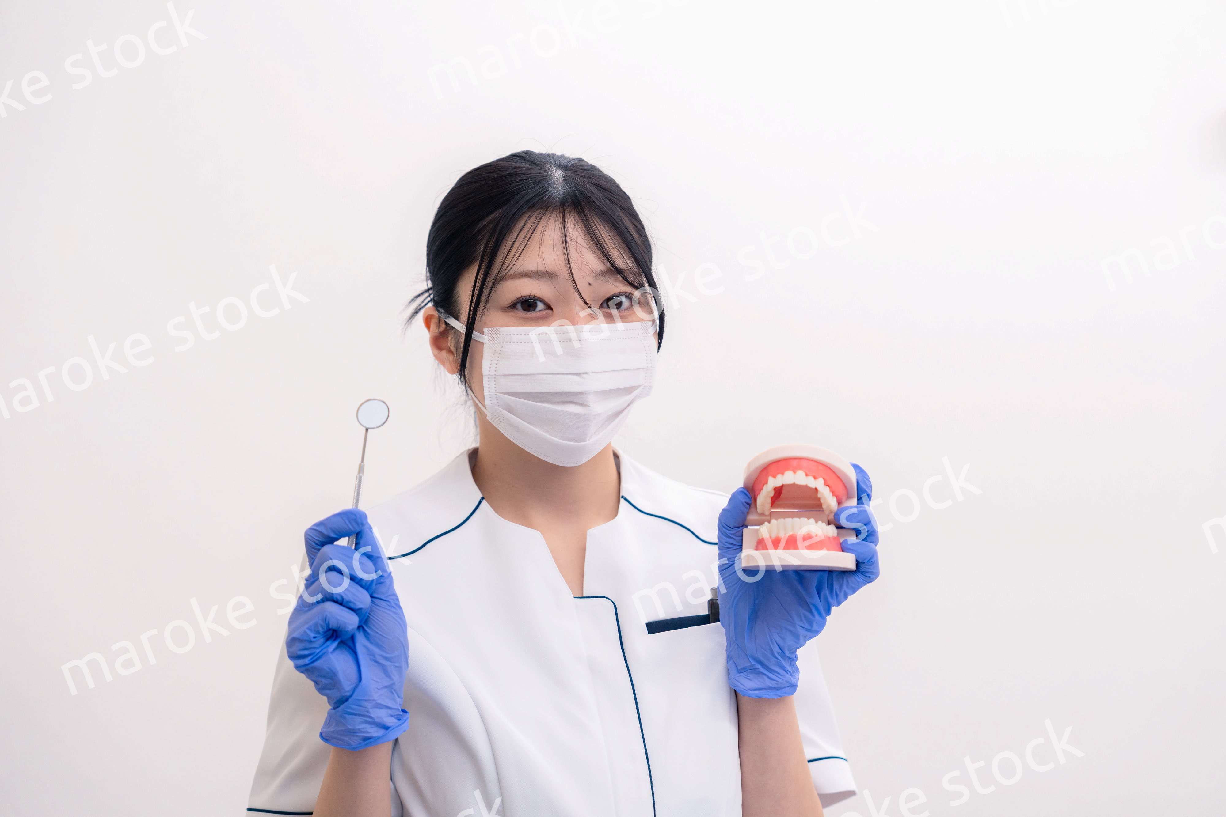 歯の模型を持つ歯科衛生士