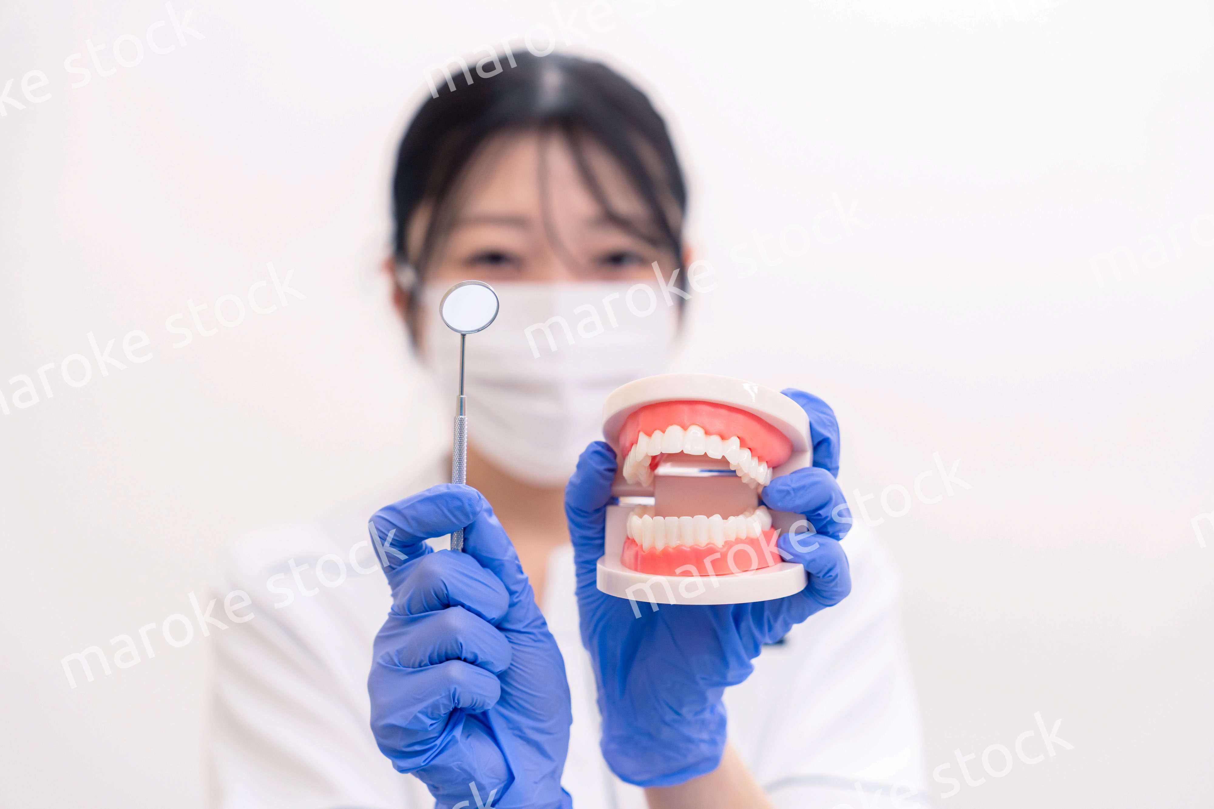 歯の模型を持つ歯科衛生士