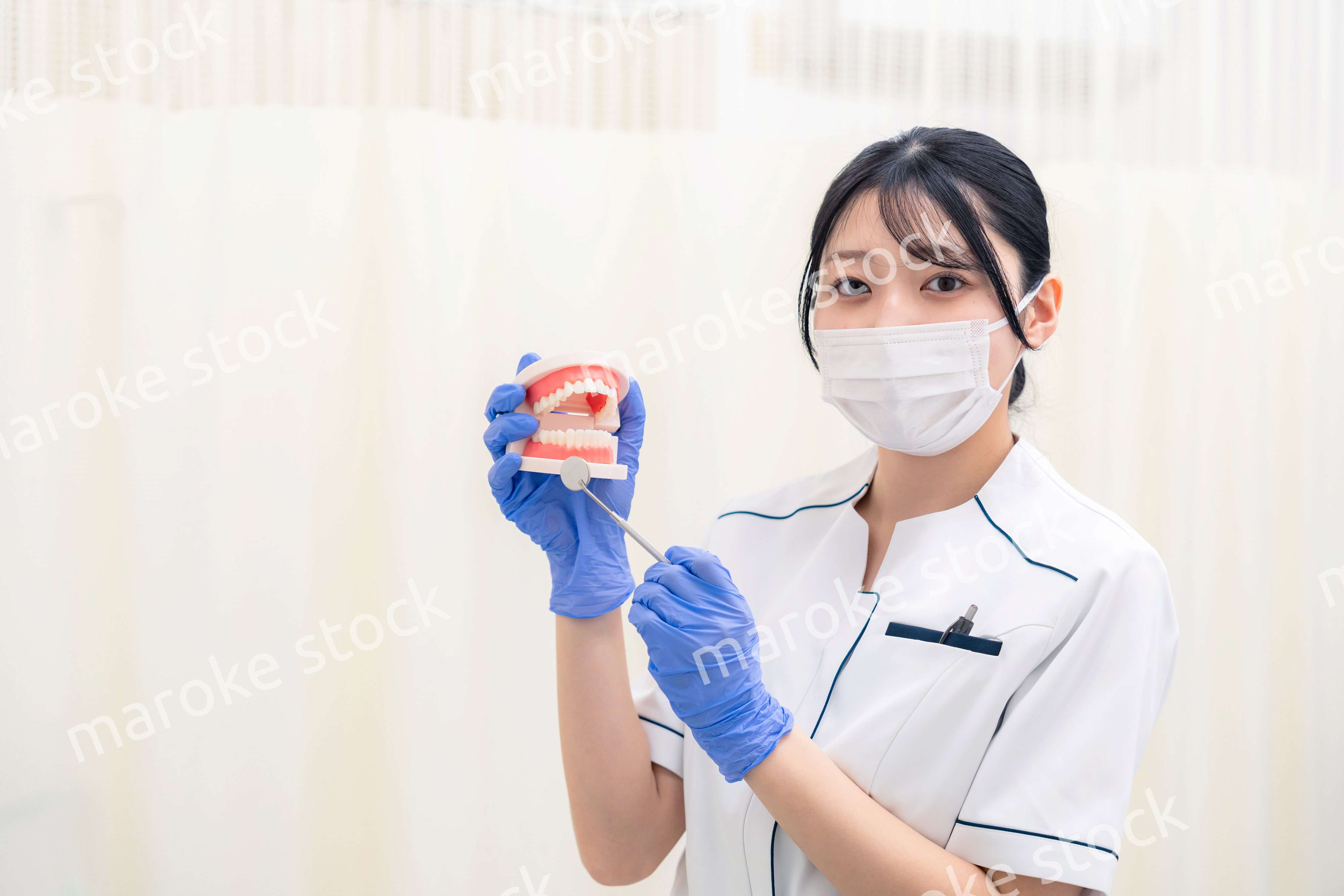 歯の模型を持つ歯科衛生士の女性