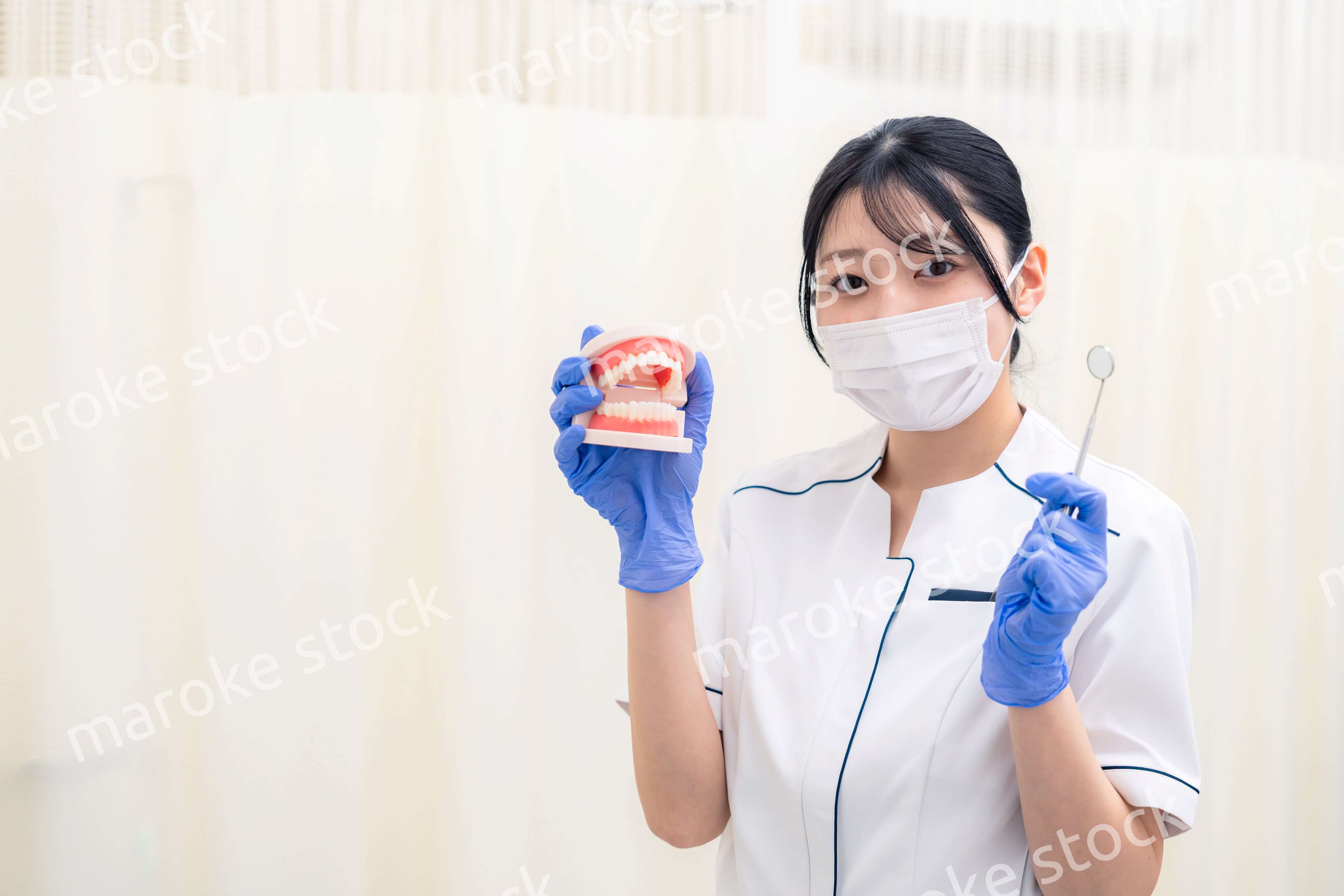 歯の模型を持つ歯科衛生士の女性