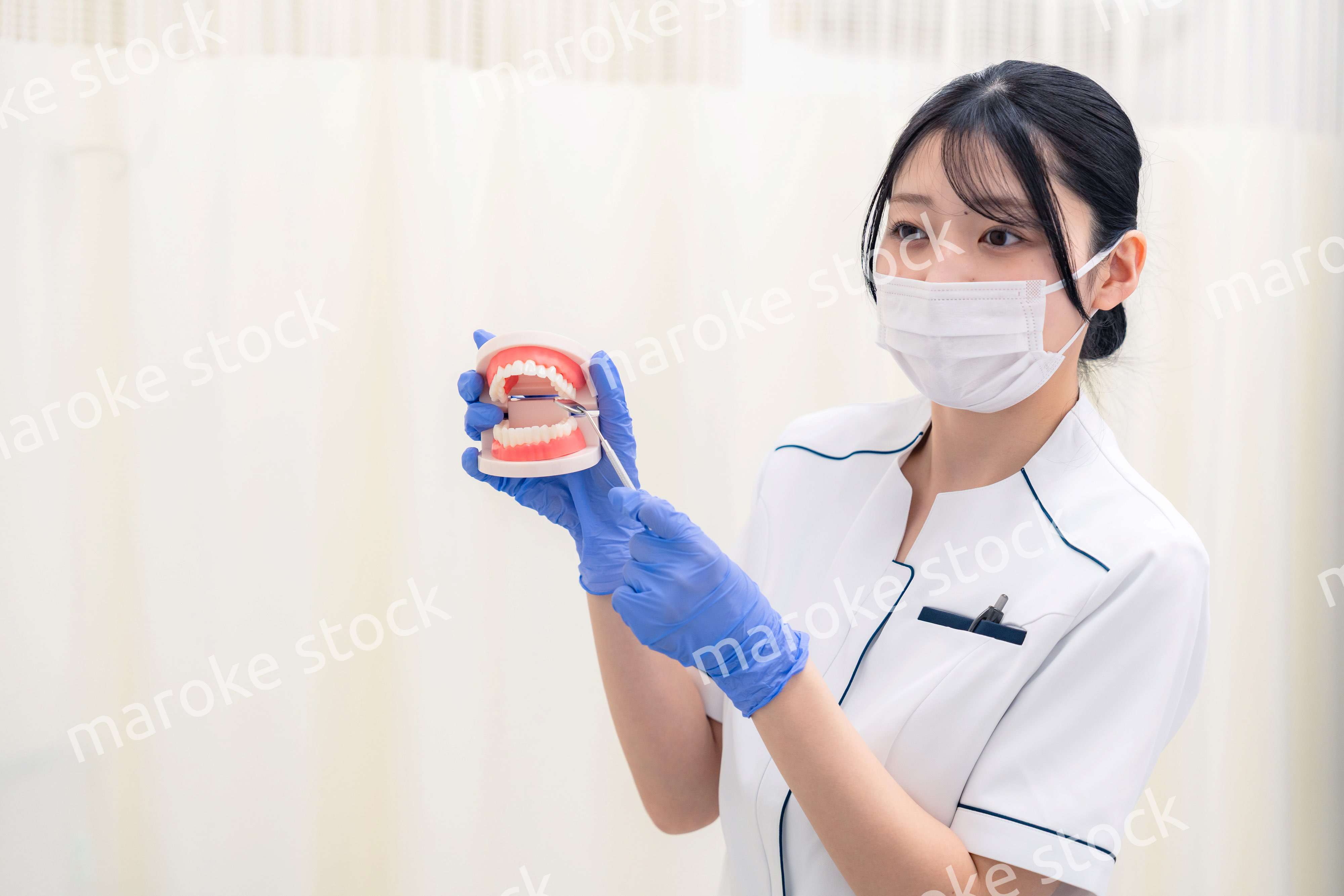 歯の模型を持つ歯科衛生士の女性