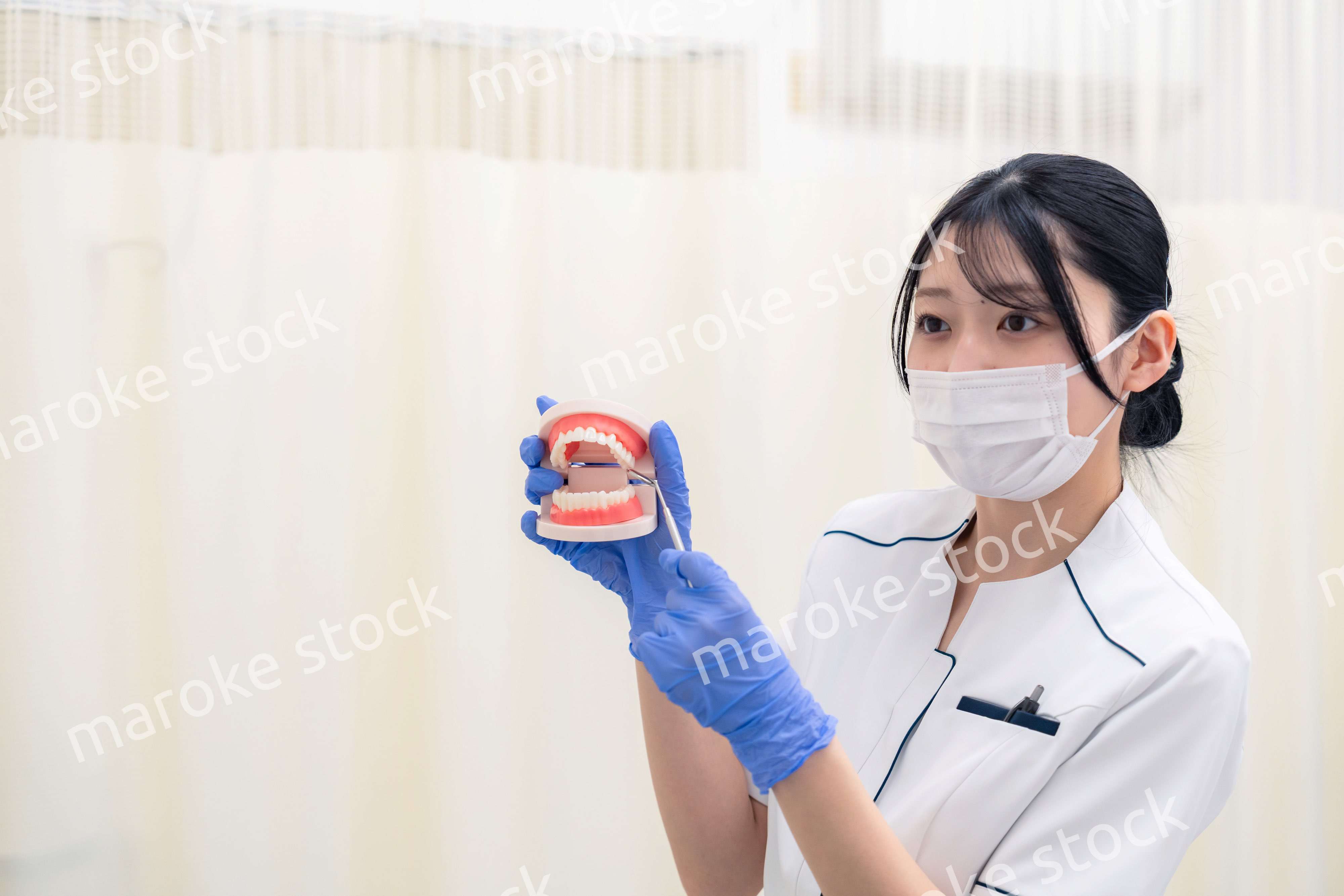 歯の模型を持つ歯科衛生士の女性