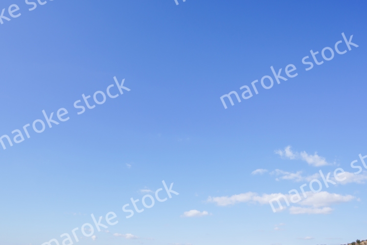 巨大な太陽光発電所