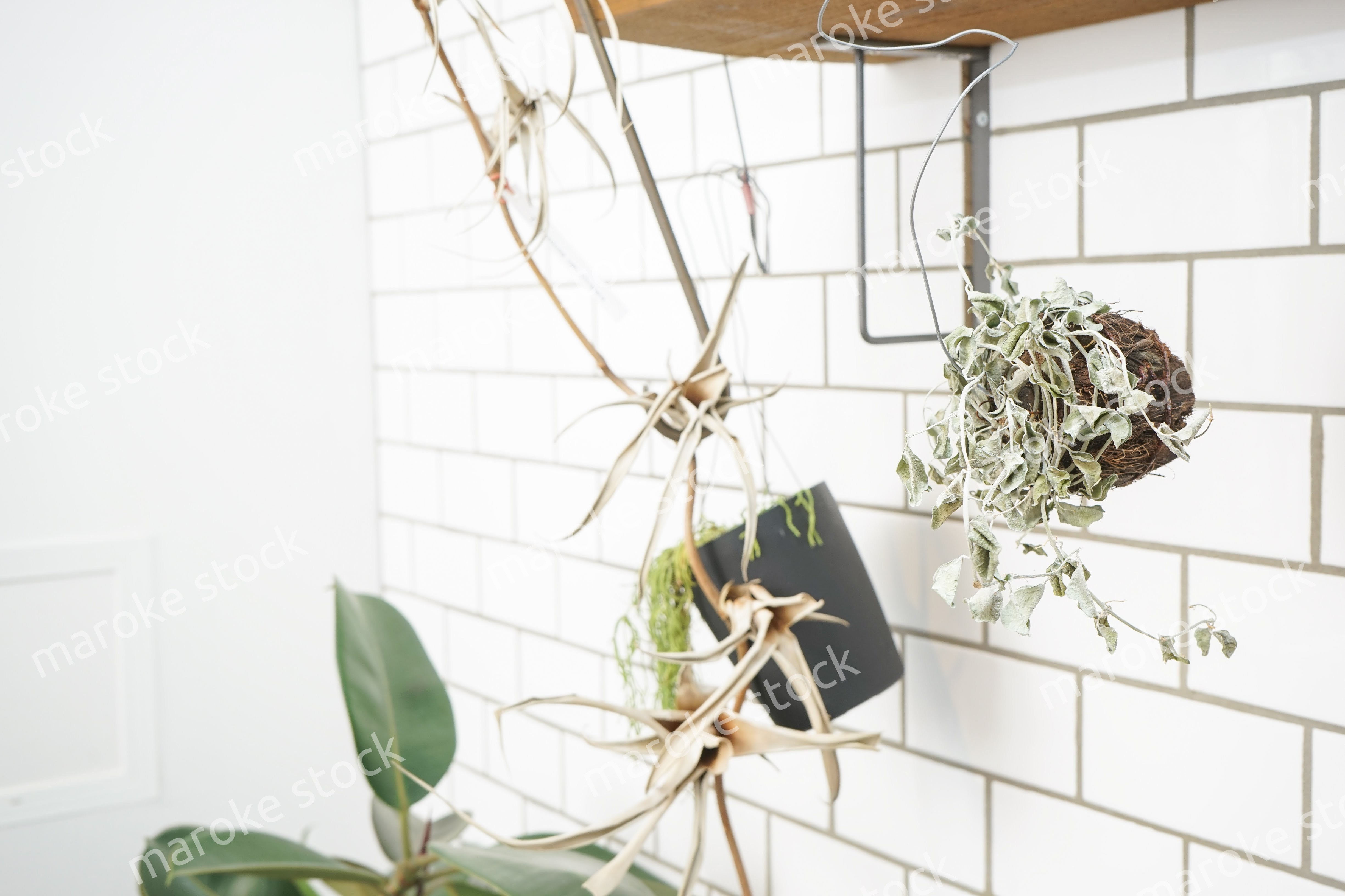 キッチン 食器イメージ