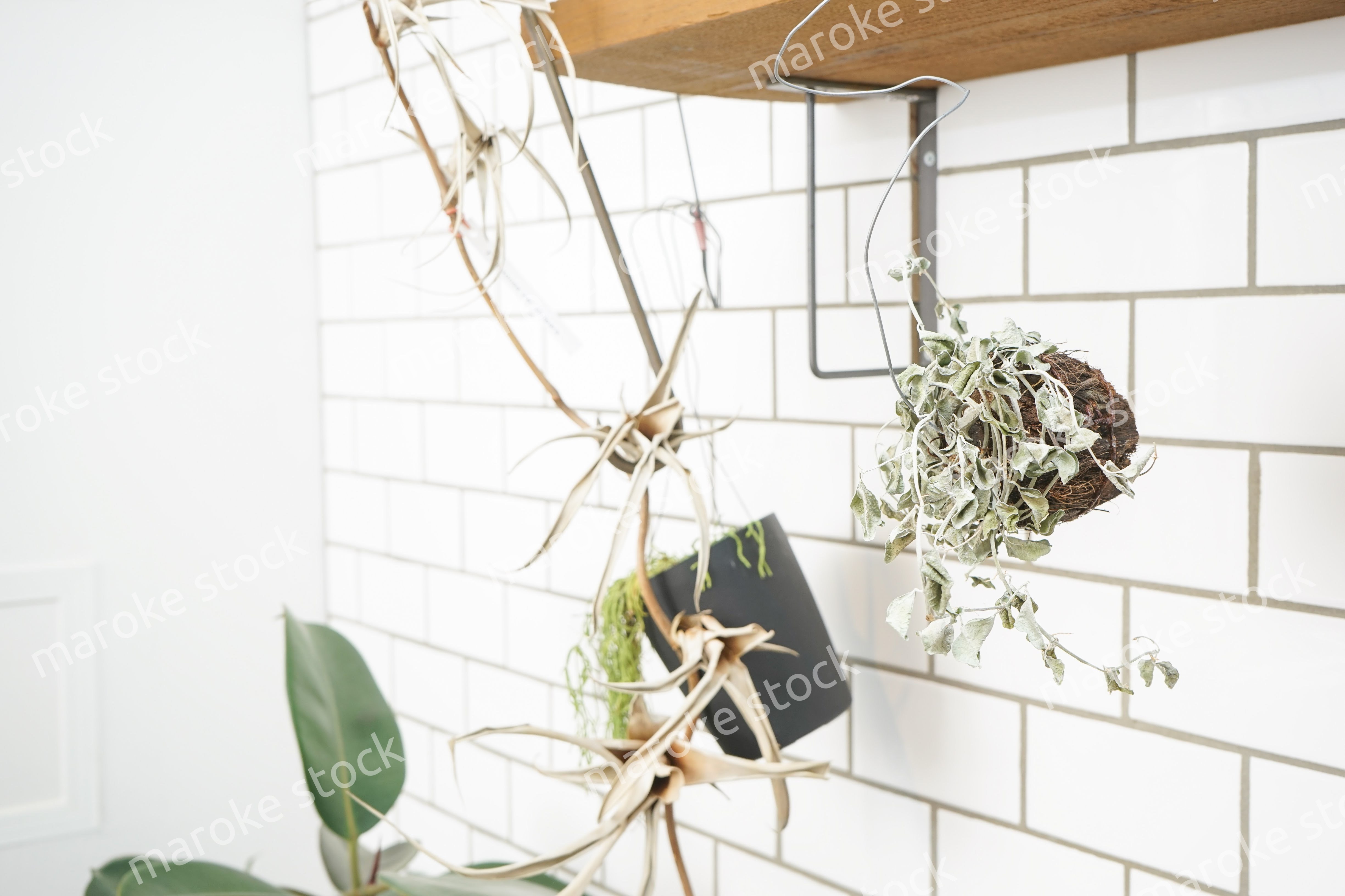 キッチン 食器イメージ