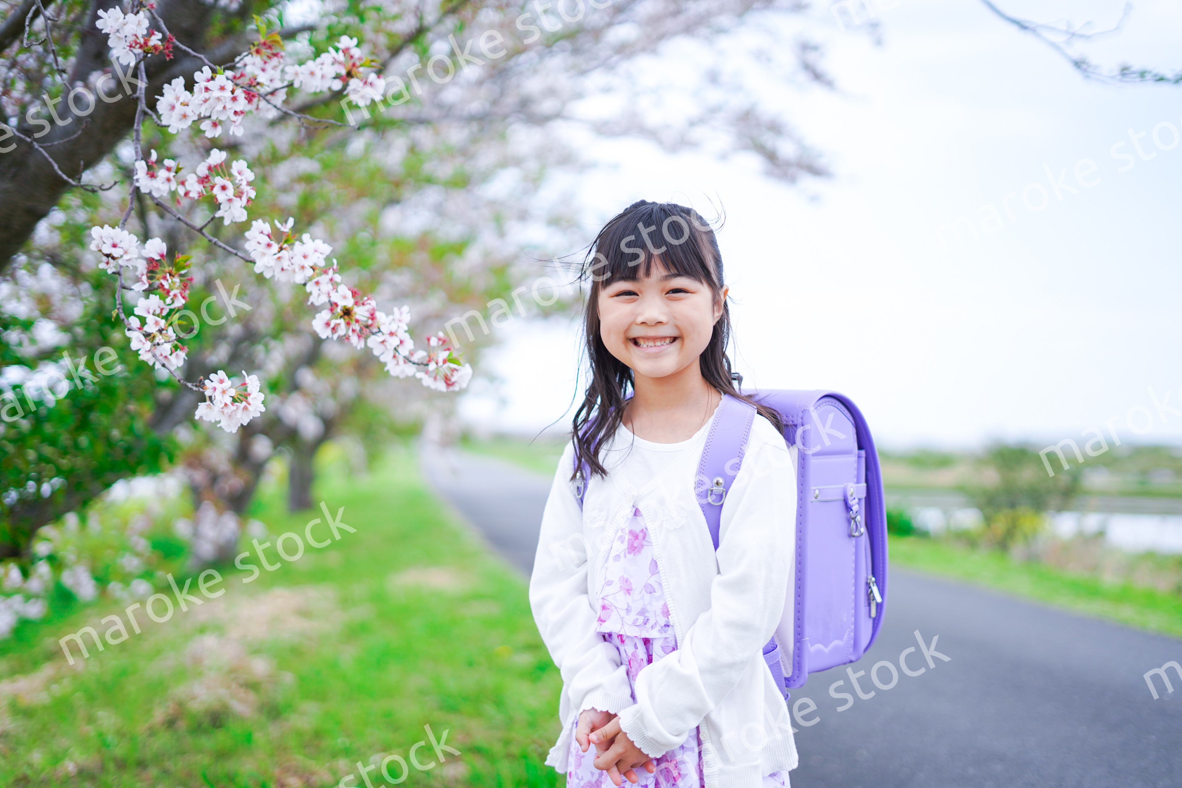 桜が咲く中登校する小さな女の子 Maroke Stock 写真素材をフォトグラファーから直接購入できるストックフォトサイト