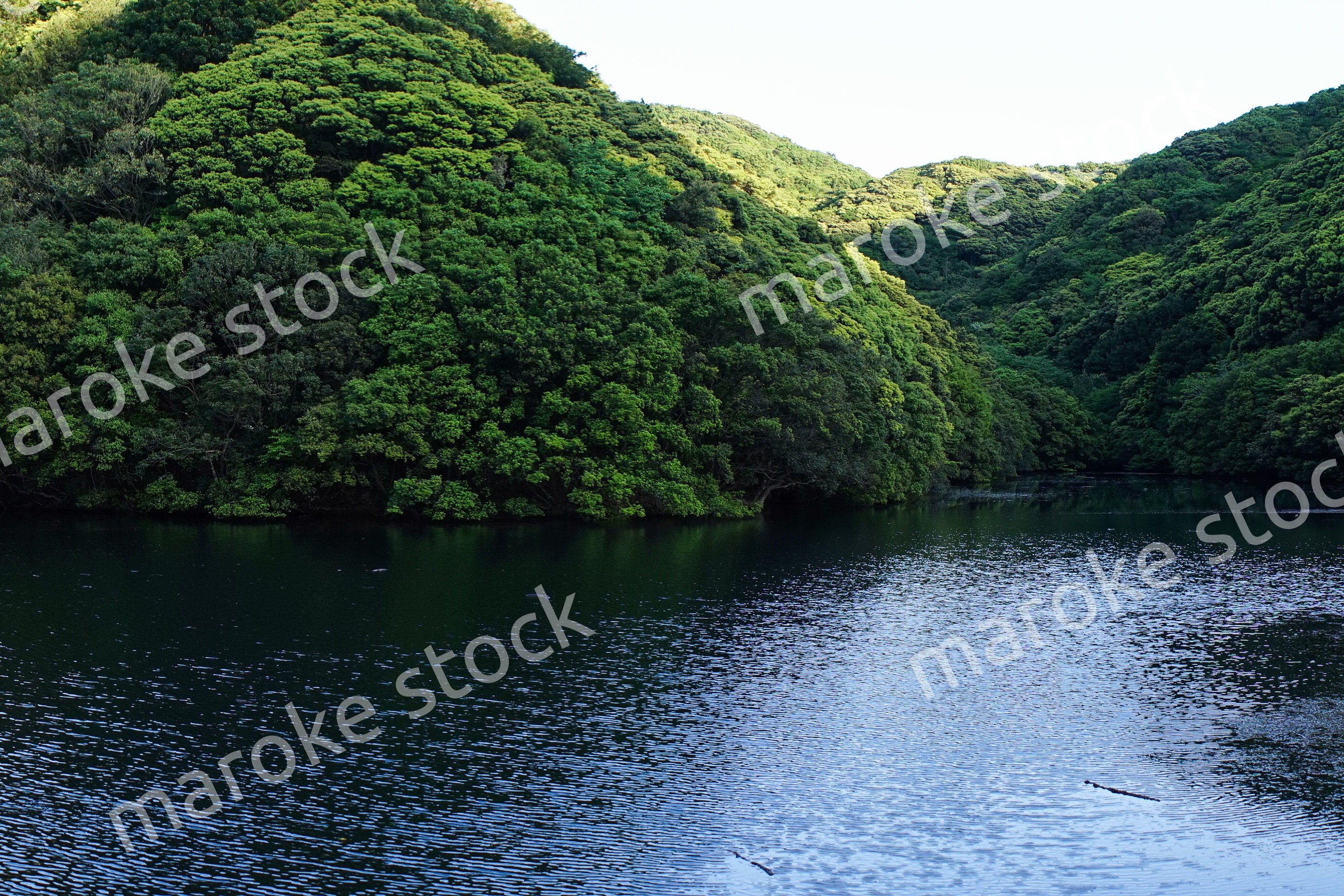 ダム・水源イメージ