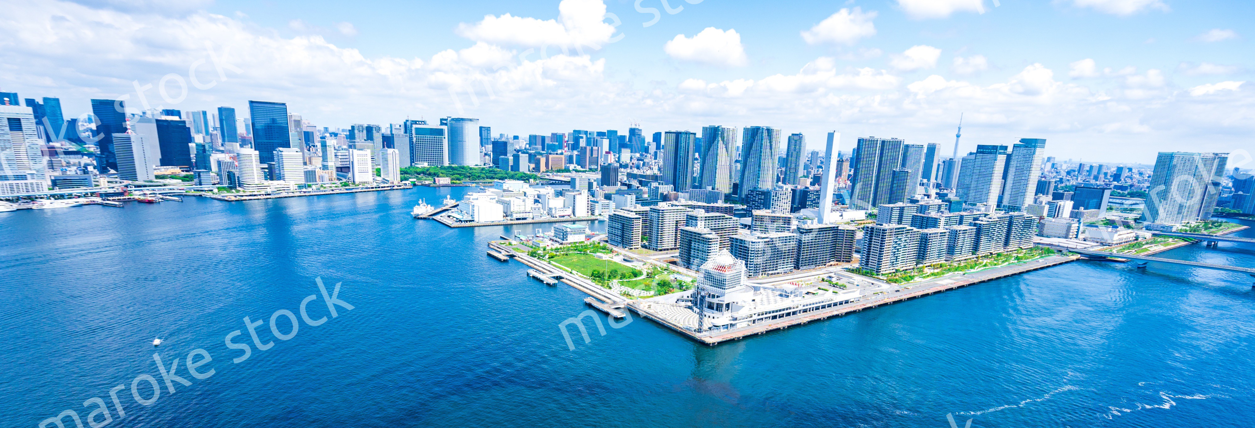 選手村・空撮写真