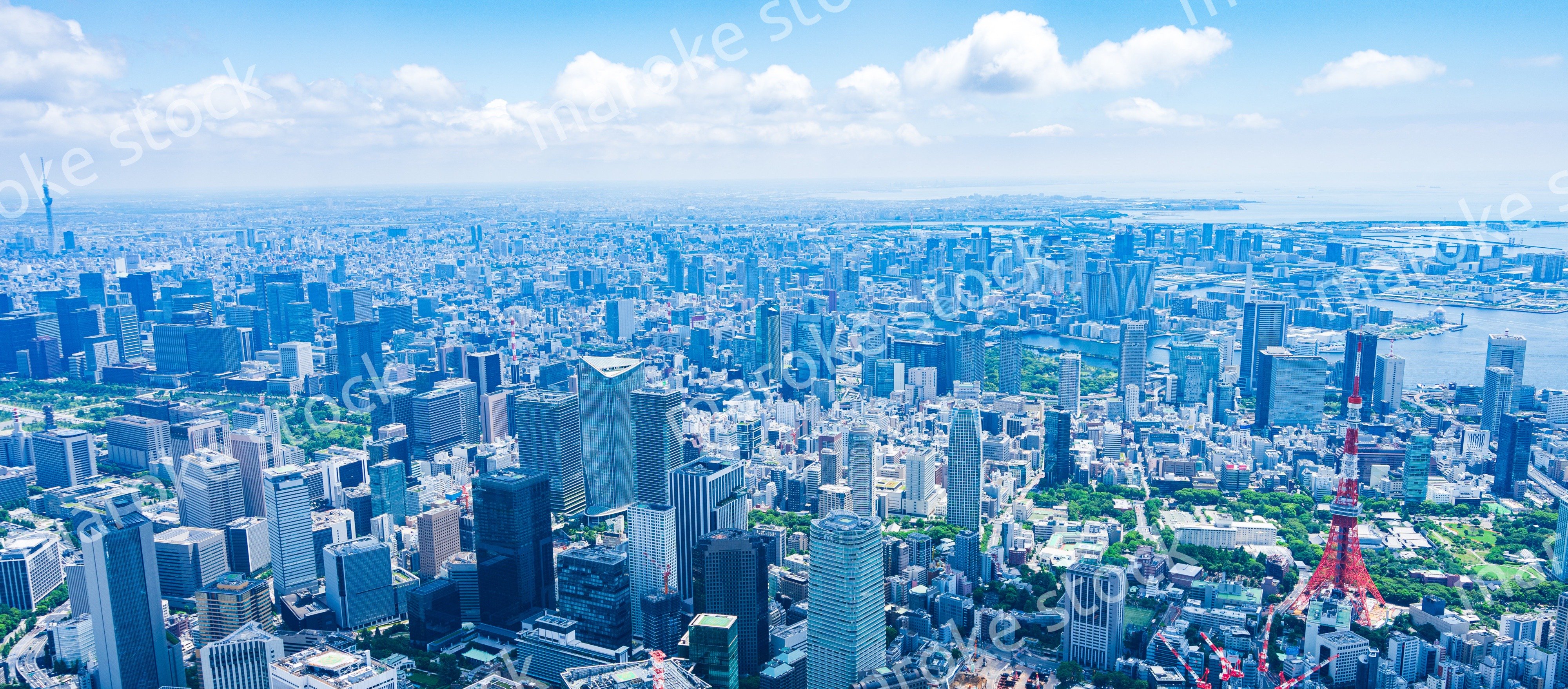 東京 都心部空撮写真