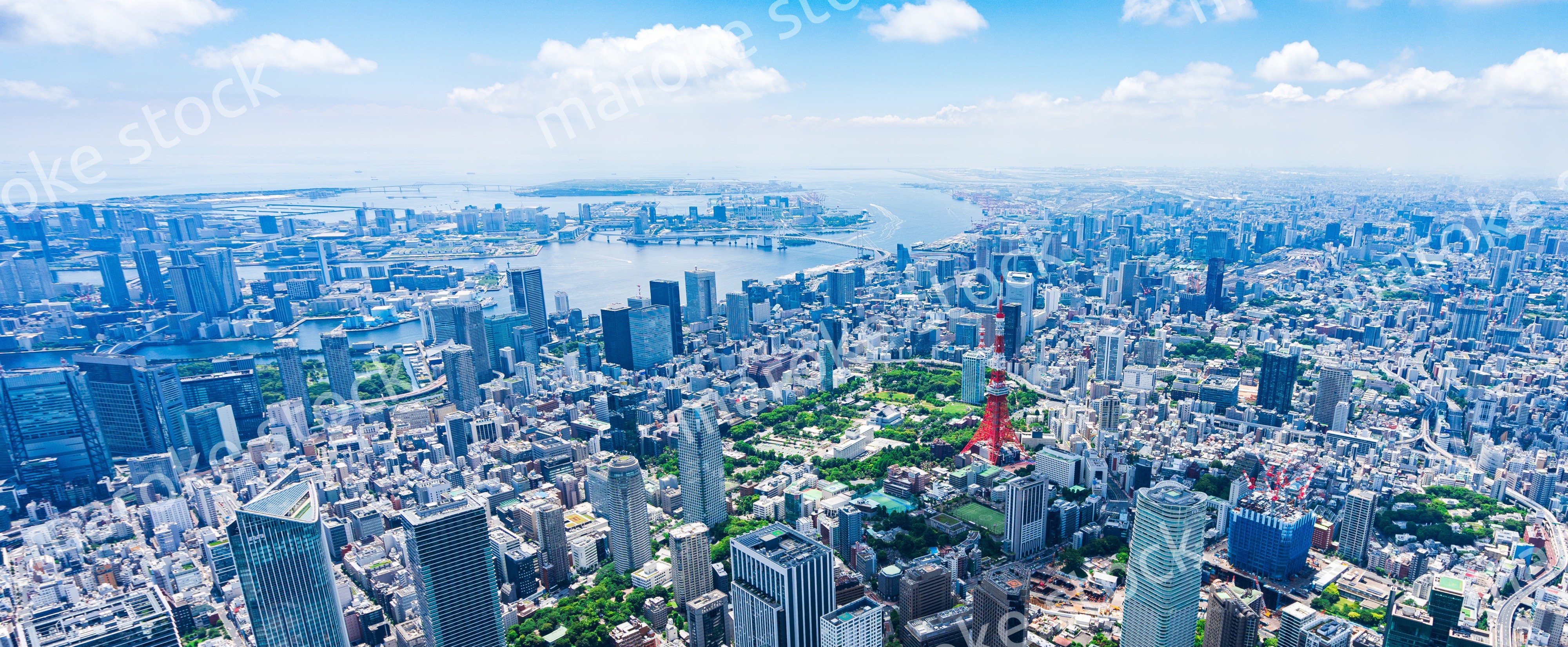 東京 都心部空撮写真