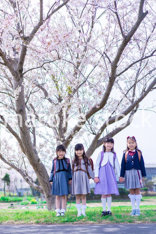 ランドセルを背負って楽しく登校する小学生の女の子たち