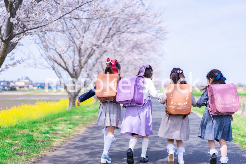 ランドセルを背負って楽しく登校する小学生の女の子たち