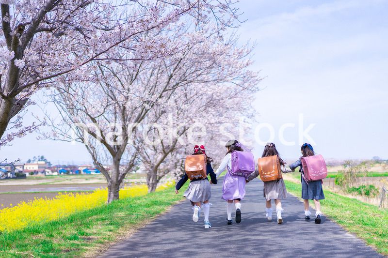 ランドセルを背負って楽しく登校する小学生の女の子たち