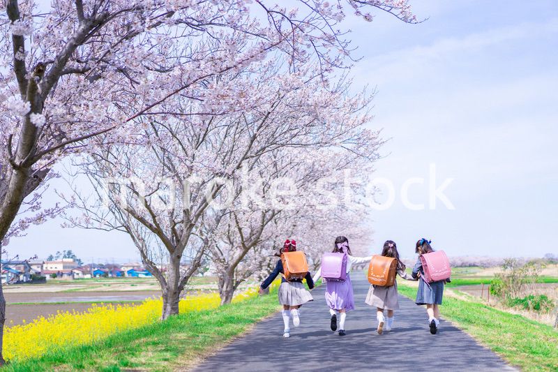 ランドセルを背負って楽しく登校する小学生の女の子たち