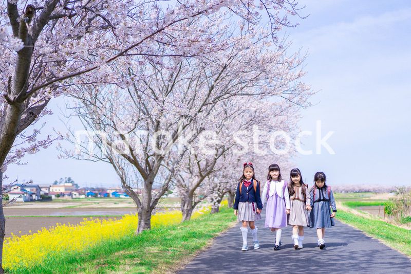 ランドセルを背負って楽しく登校する小学生の女の子たち