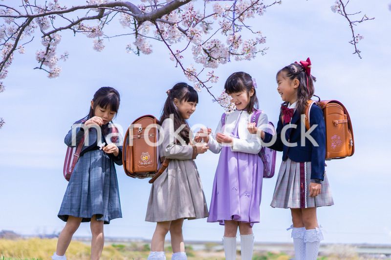 ランドセルを背負って楽しく登校する小学生の女の子たち