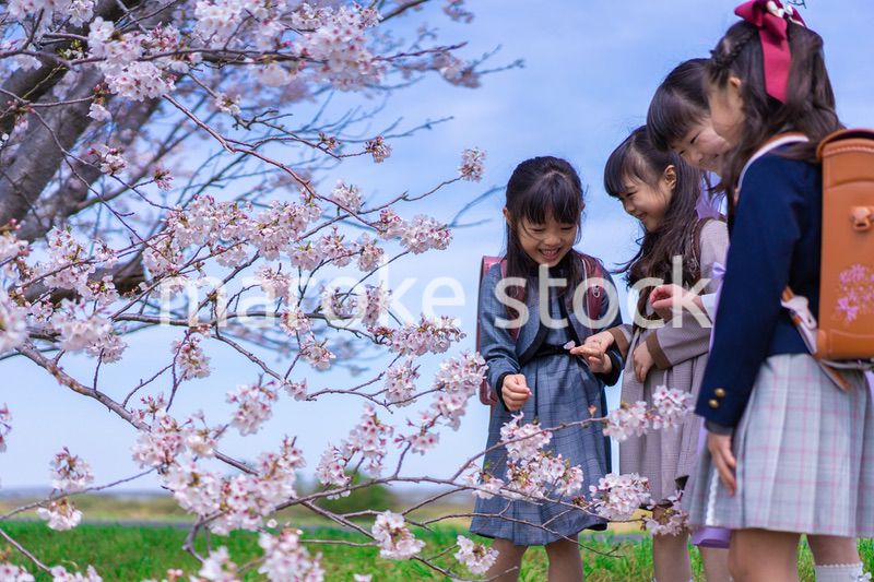 ランドセルを背負って楽しく登校する小学生の女の子たち