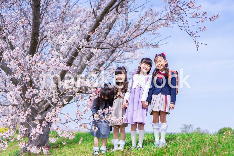 ランドセルを背負って楽しく登校する小学生の女の子たち