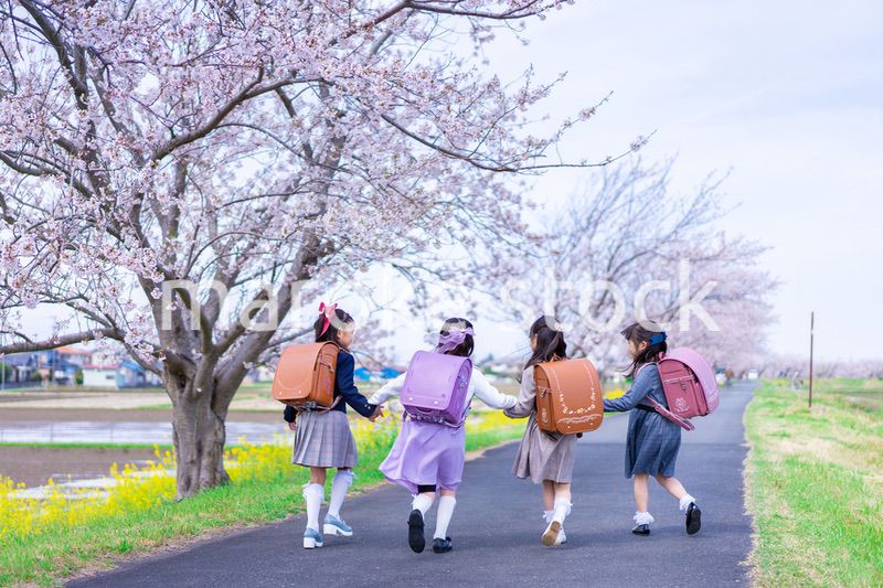 ランドセルを背負って楽しく登校する小学生の女の子たち