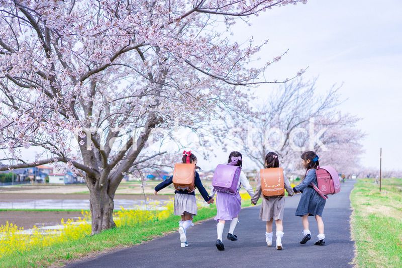 ランドセルを背負って楽しく登校する小学生の女の子たち