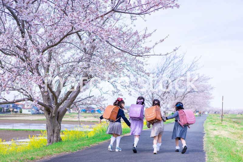 ランドセルを背負って楽しく登校する小学生の女の子たち