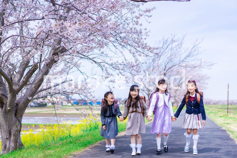 ランドセルを背負って楽しく登校する小学生の女の子たち