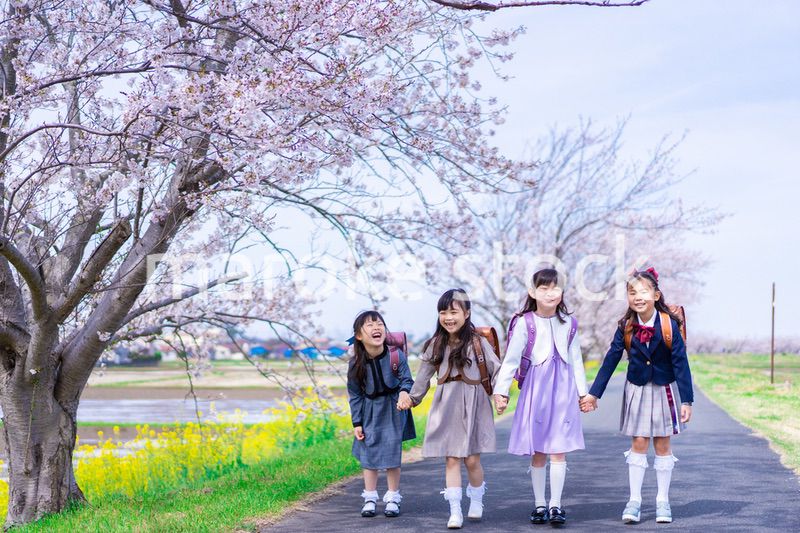 ランドセルを背負って楽しく登校する小学生の女の子たち