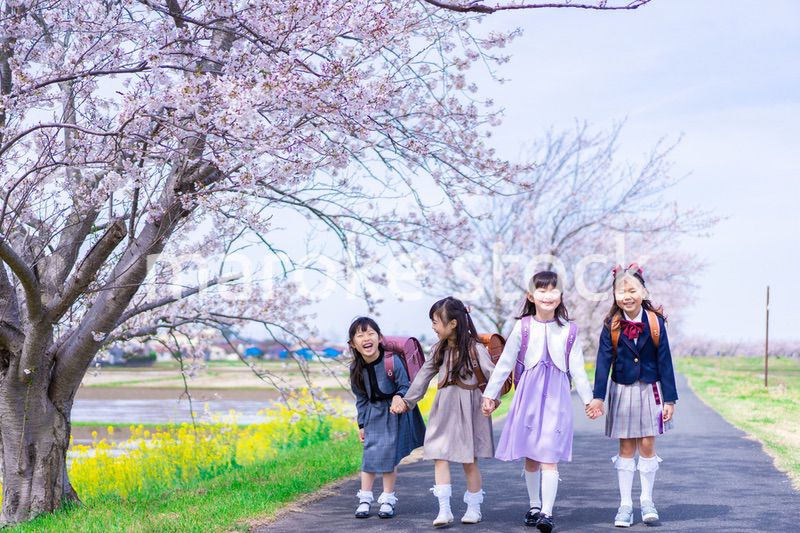 ランドセルを背負って楽しく登校する小学生の女の子たち