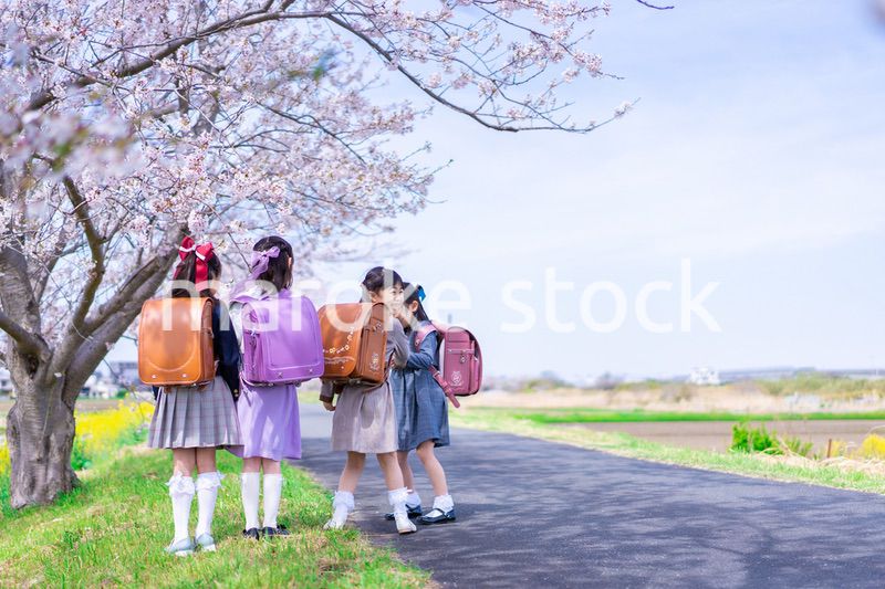 ランドセルを背負って楽しく登校する小学生の女の子たち