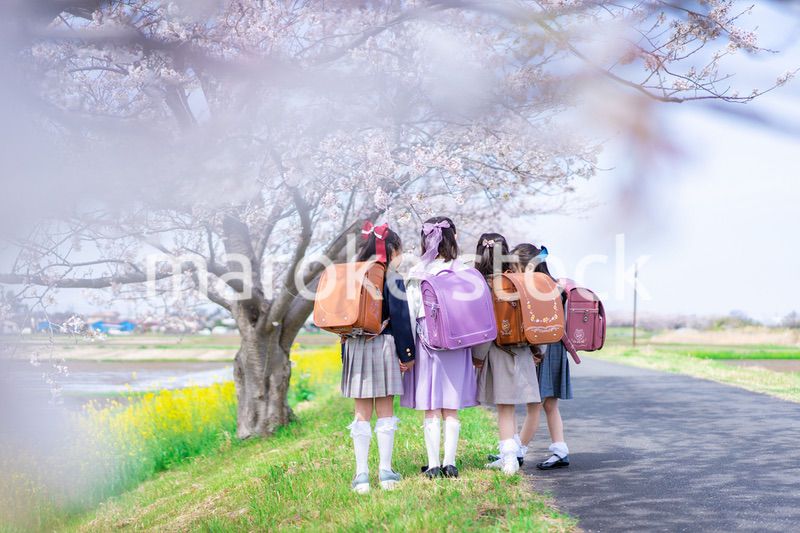ランドセルを背負って登校する小学生たち