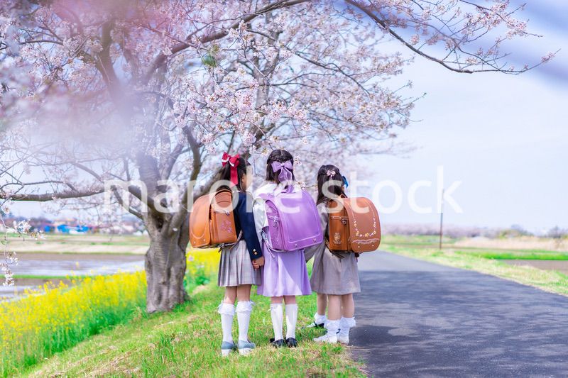 ランドセルを背負って楽しく登校する小学生の女の子たち