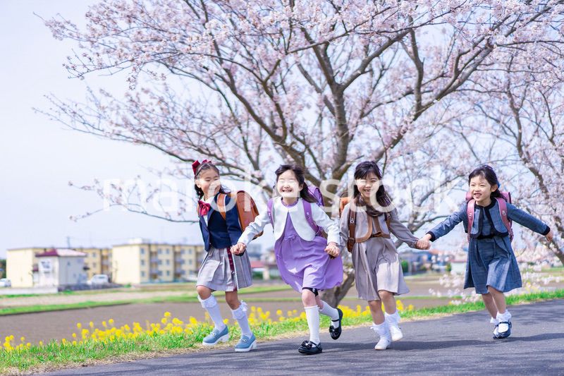 ランドセルを背負って楽しく登校する小学生の女の子たち