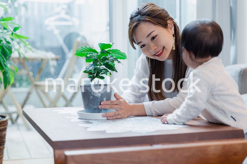 家で赤ちゃんと一緒に暮らすお母さん