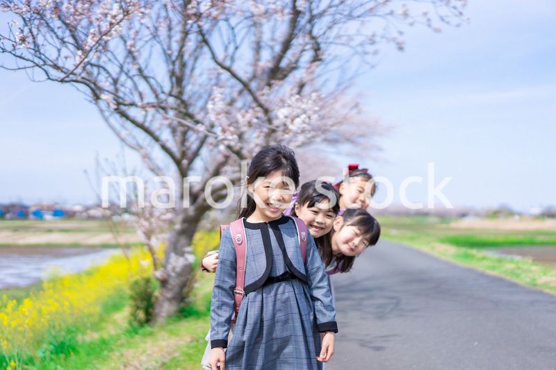 登下校中に通学路で遊ぶ小学生の女の子たち